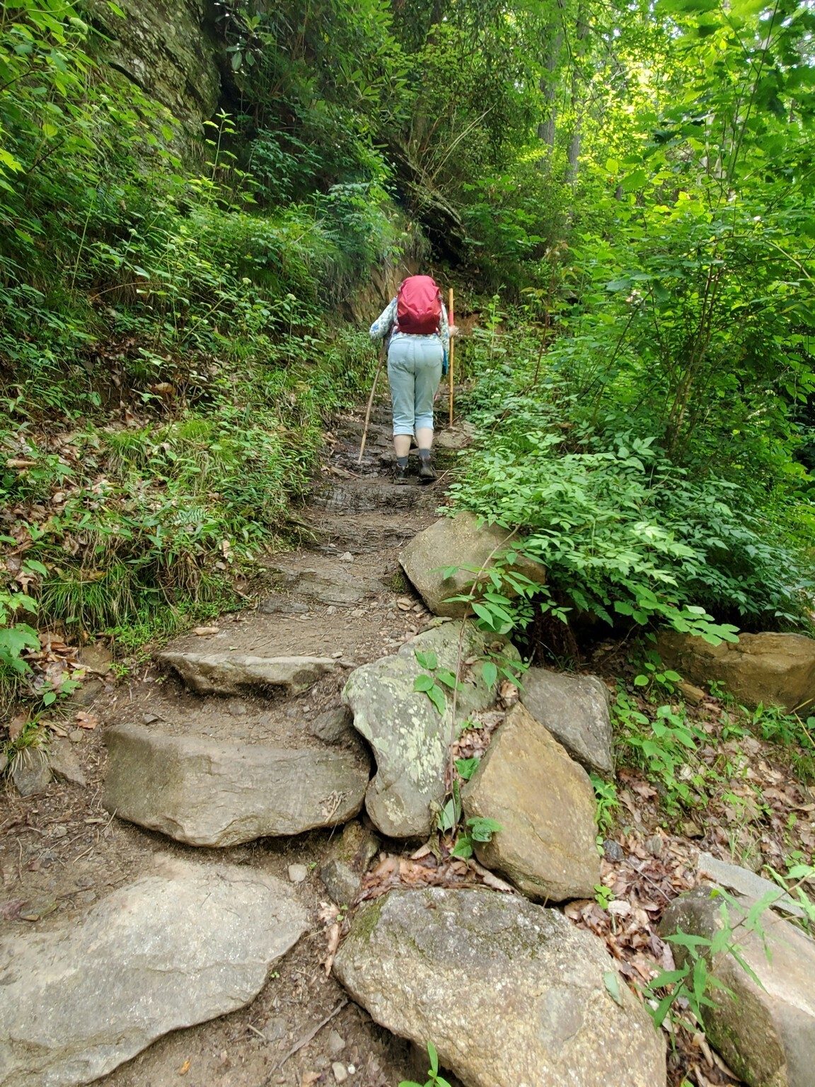 A nice set of rock steps that exit out of the falls.