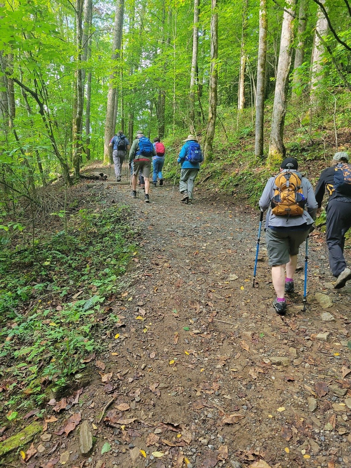 Headed up to our first stop at Juney Whank Falls.