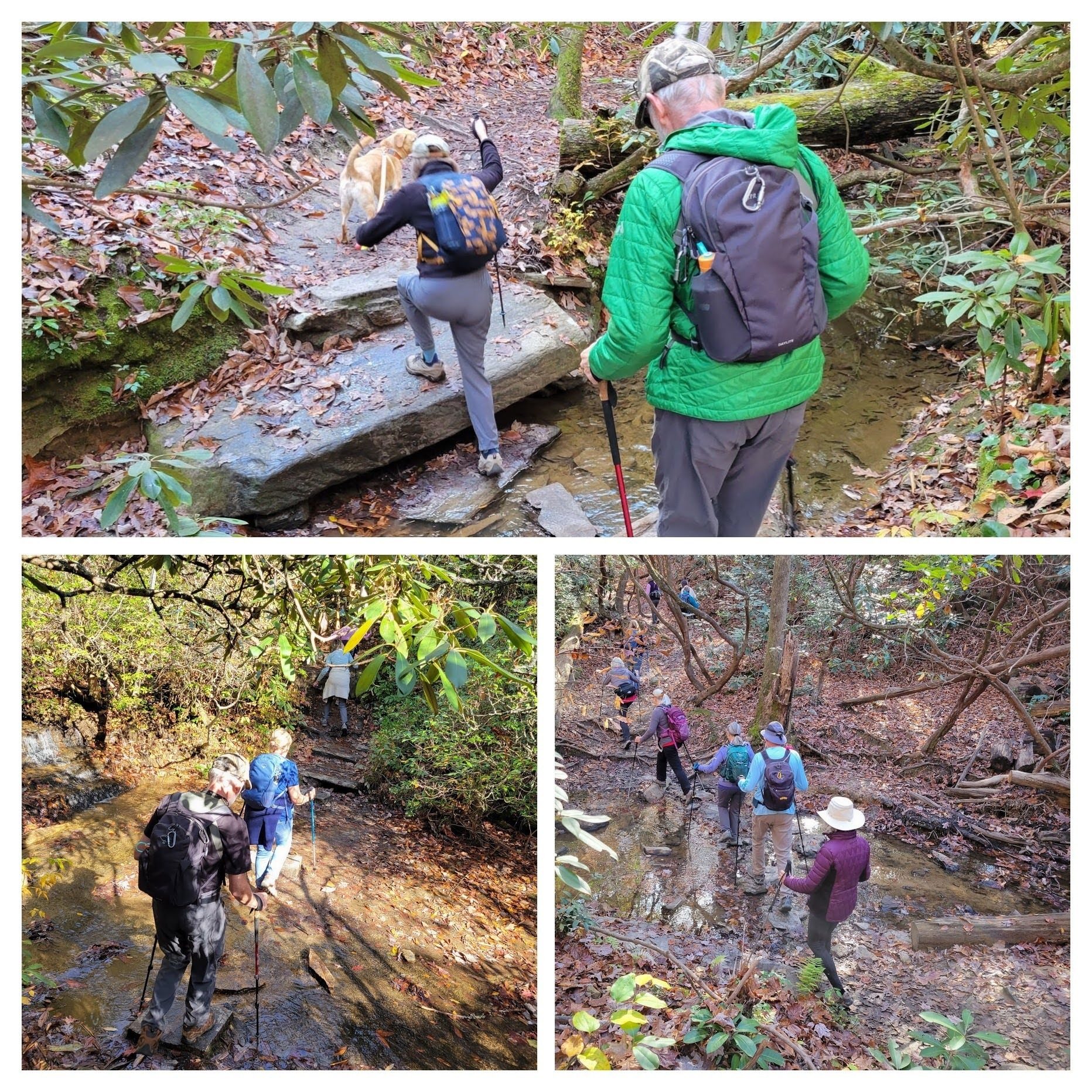 And there are several "not so wet" crossings.