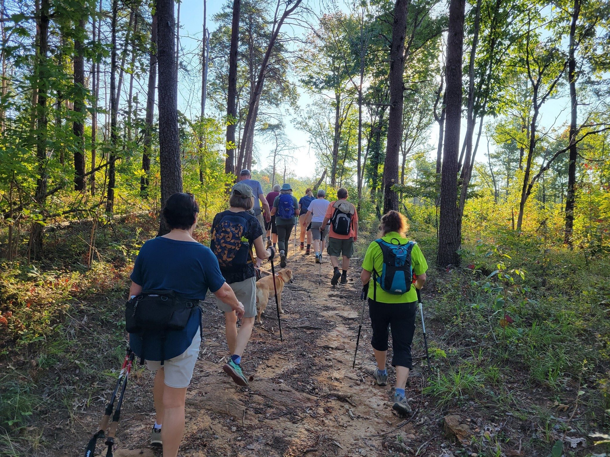 This section of the trail is very easy.