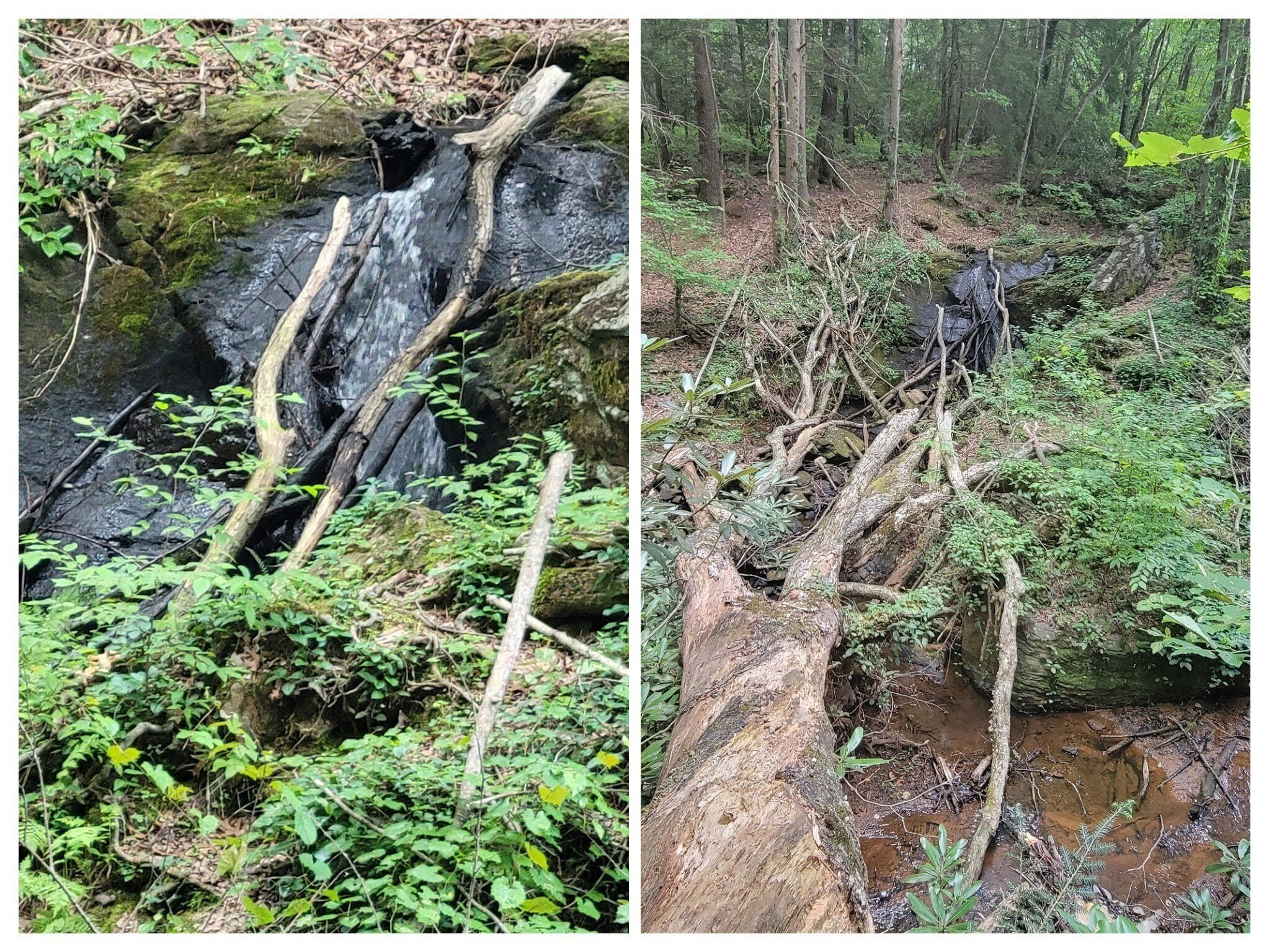 Dockery Lake Falls. I was hoping it might have been cleaned up just a bit more from two years ago.