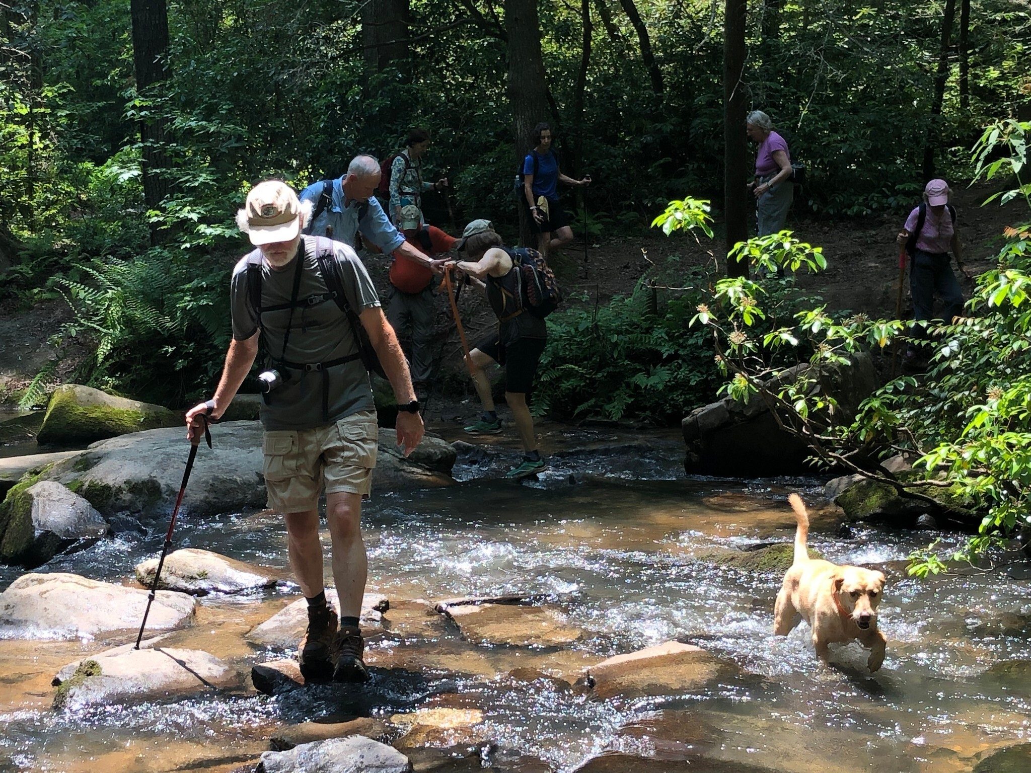 Squirt just doesn't understand why people just don't just jump in.