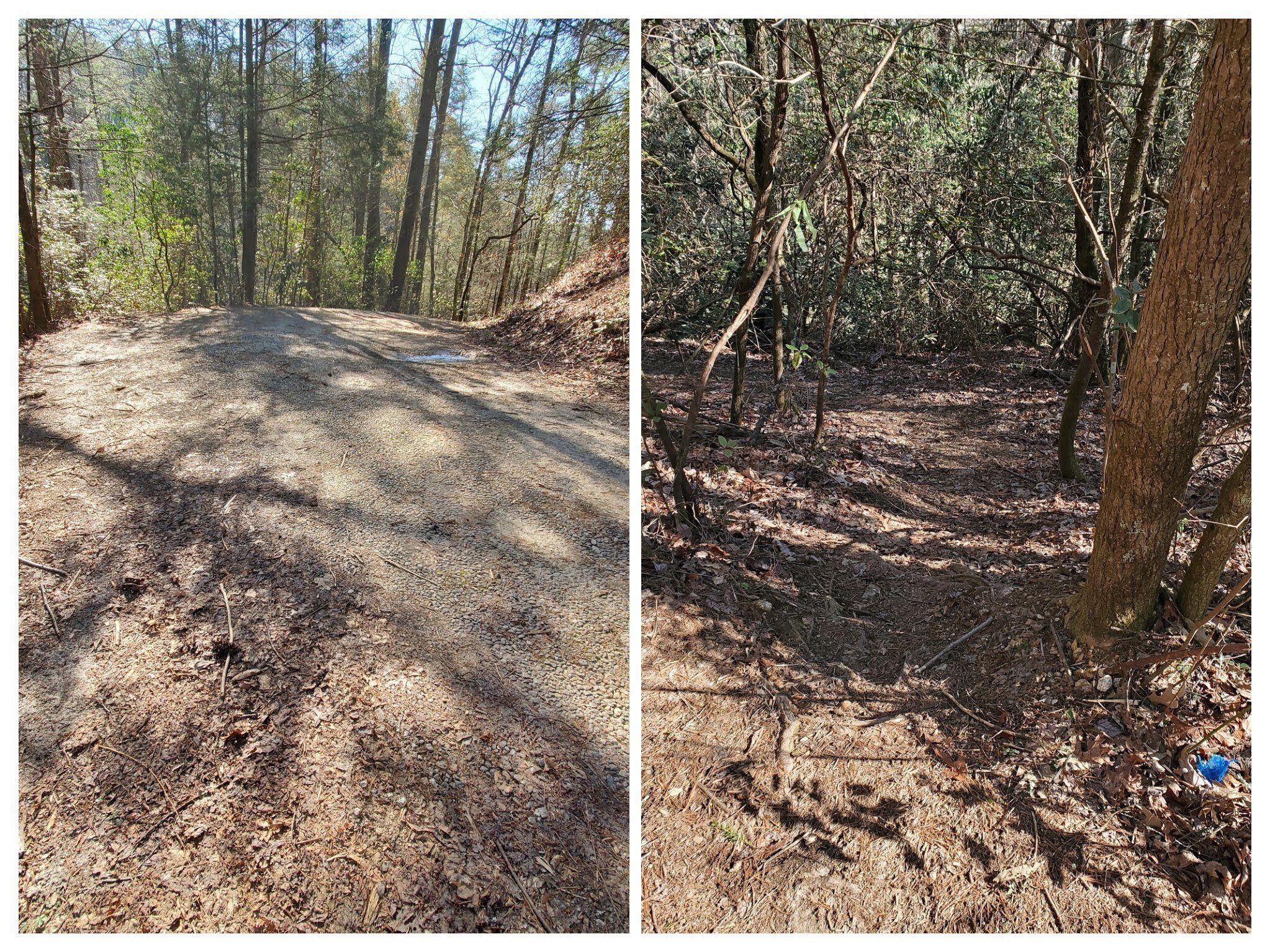 Left: Limited available parking along FS 376; Right: Unmarked trail down to Raper Creek Falls.