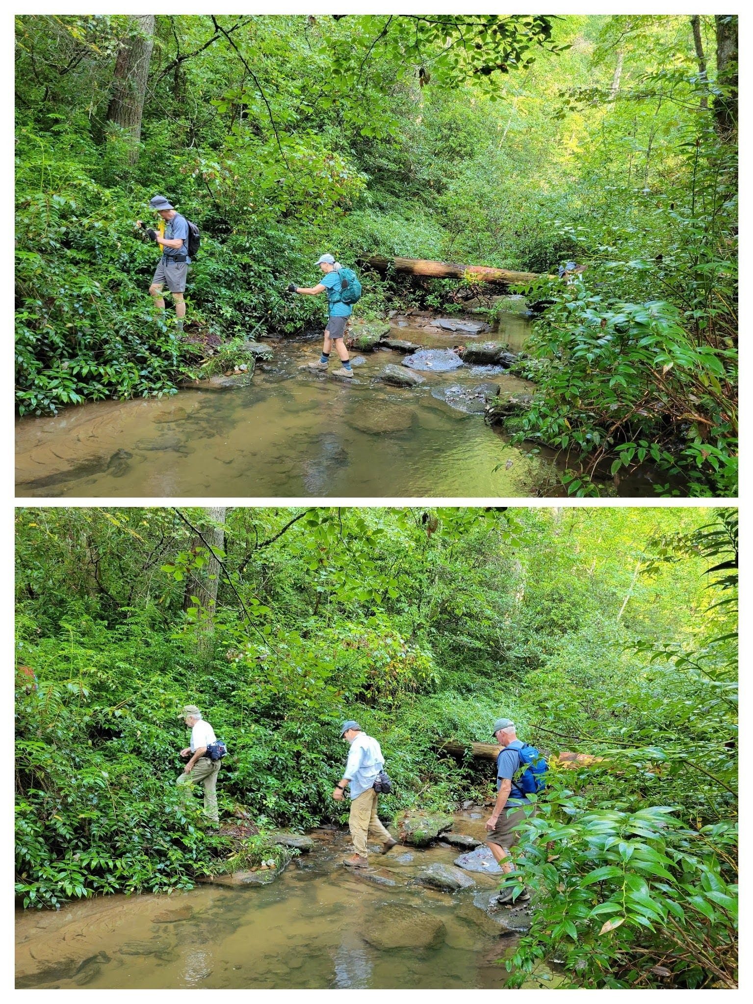 Rock hopping across Big Creek.  Doesn't look too wide or deep here, but just wait . .