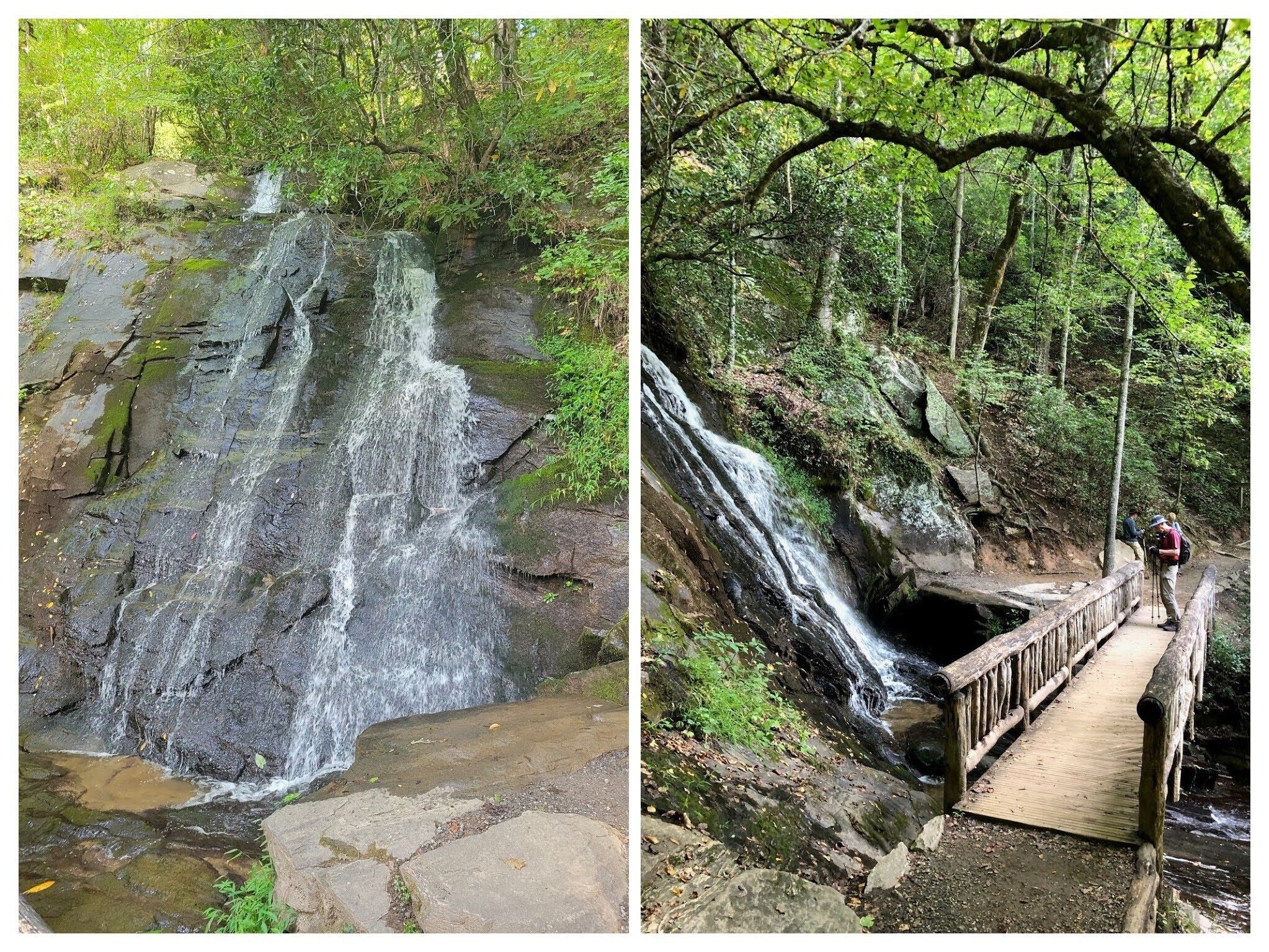 Juney Whank Falls . . . just a short uphill from the trailhead.
