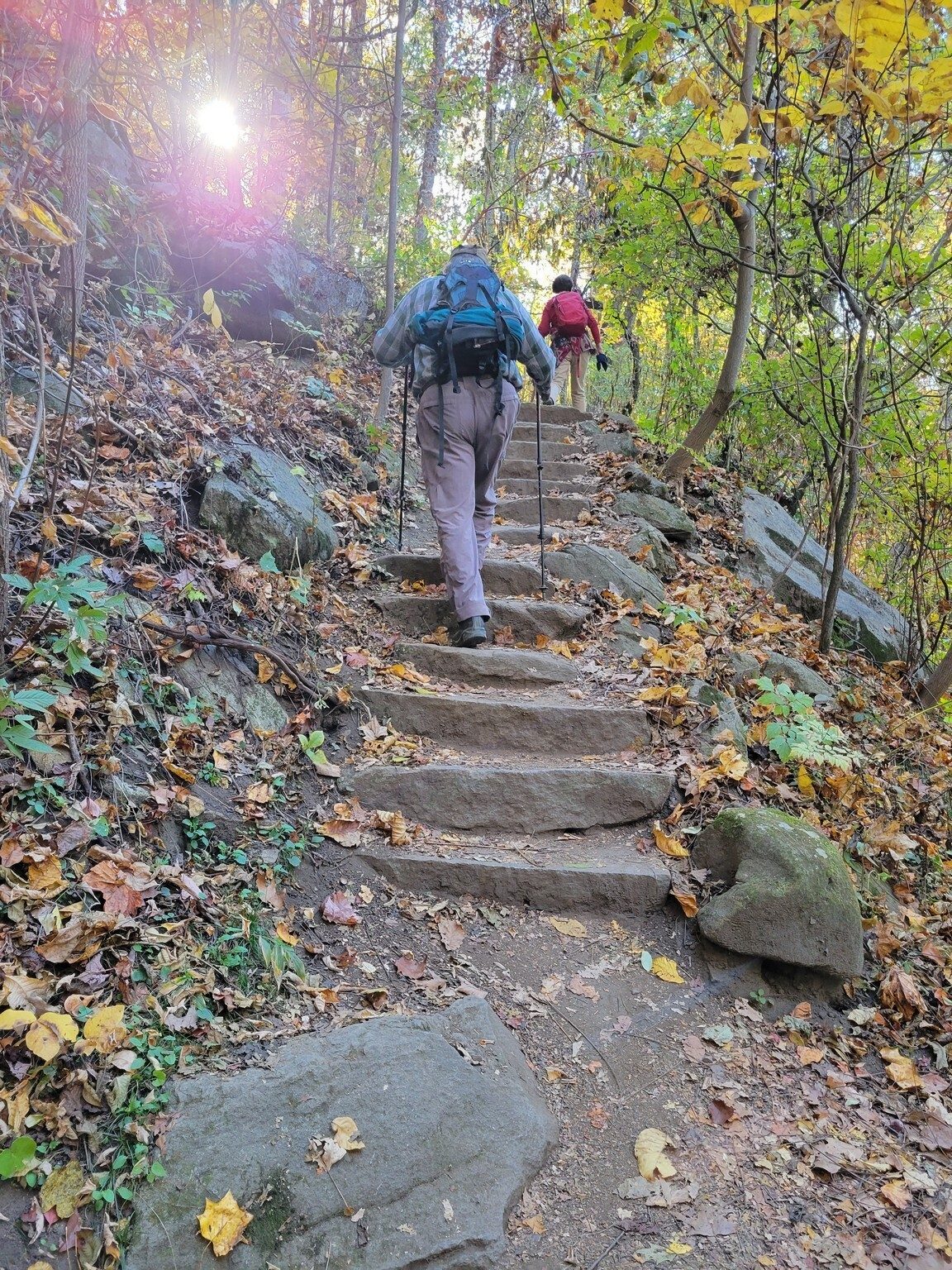 A few sets of rock steps have been installed along the way.