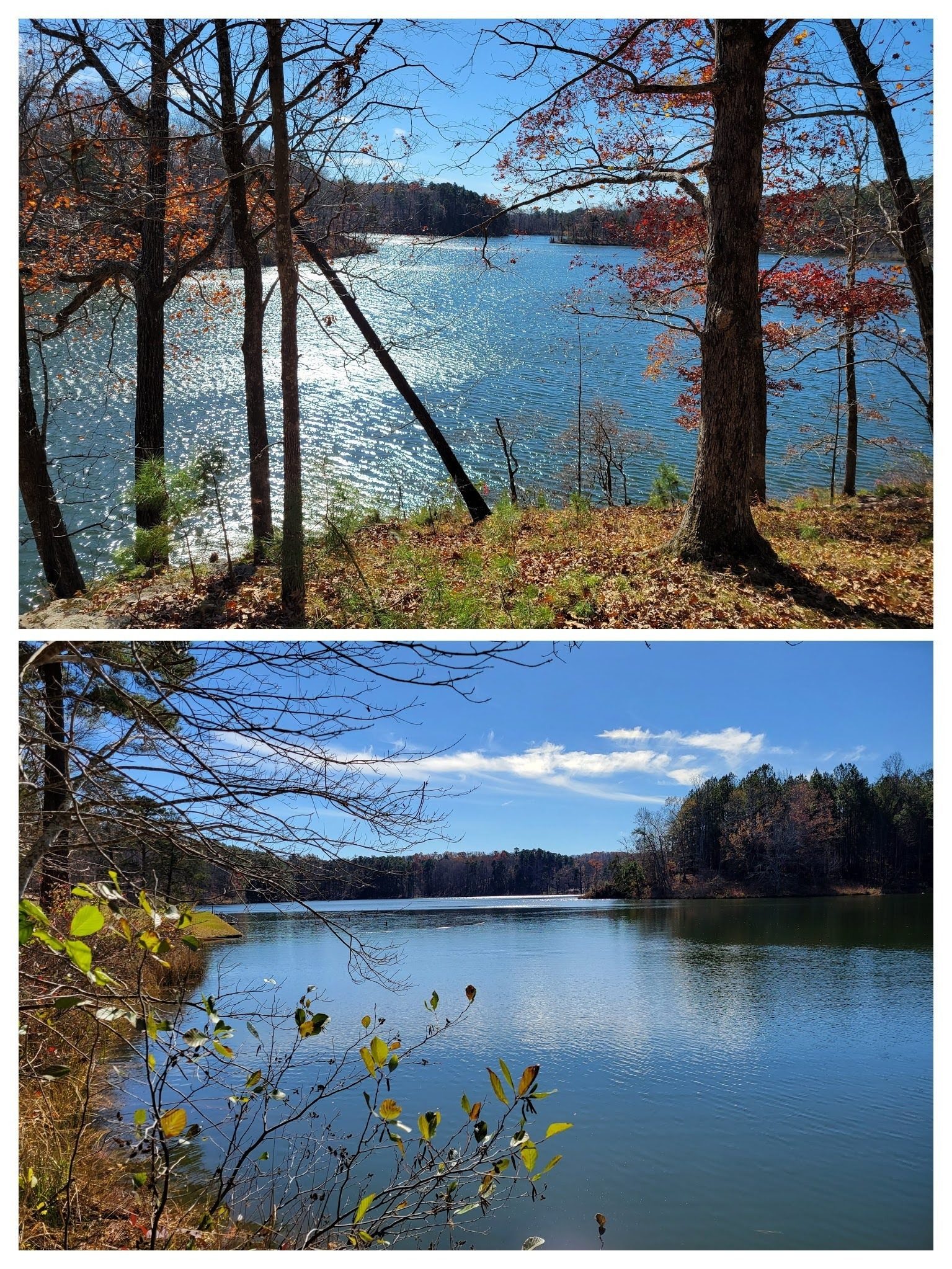 Lake Russell has so many pretty viewpoints.