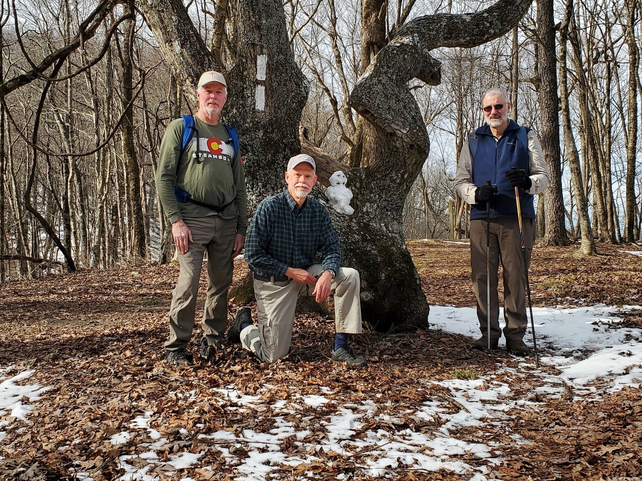 Today's Hikers (L-R): Ken, Mike, Frosty & Ray
