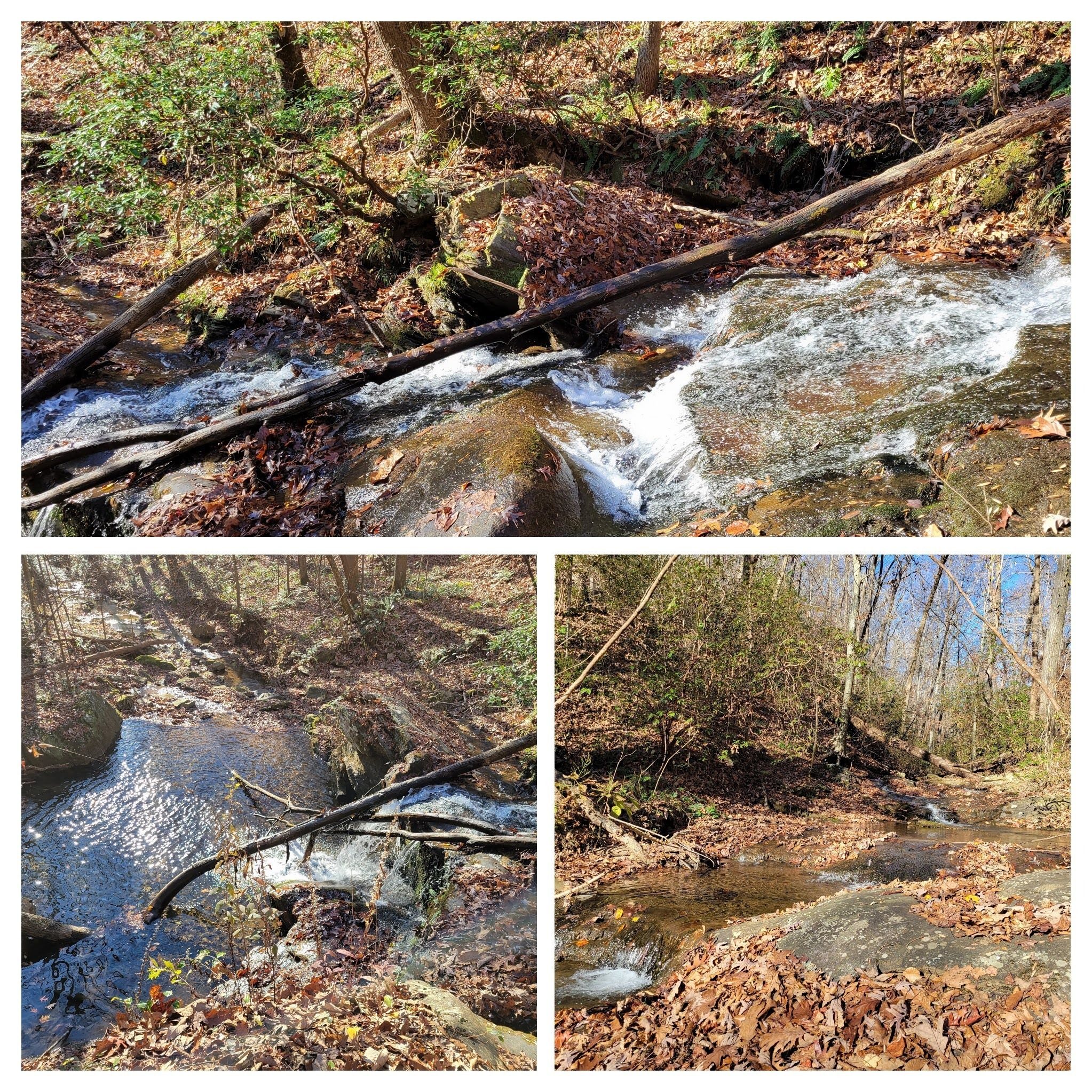 But we could get to the top of Trailside Falls, but it was a slippery slide on some leaves to get to it.