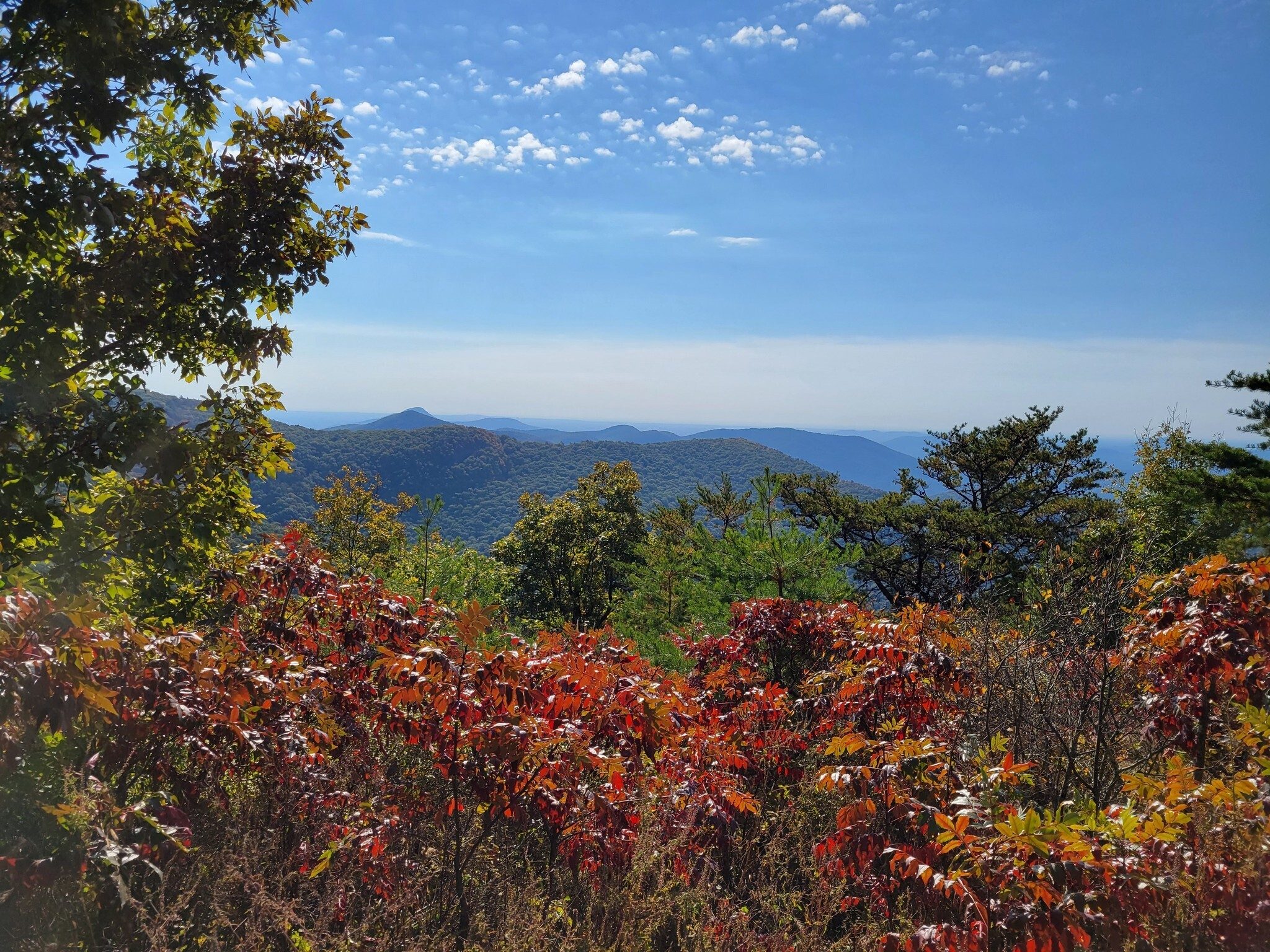 A view to the south from Wolf Laurel Top.