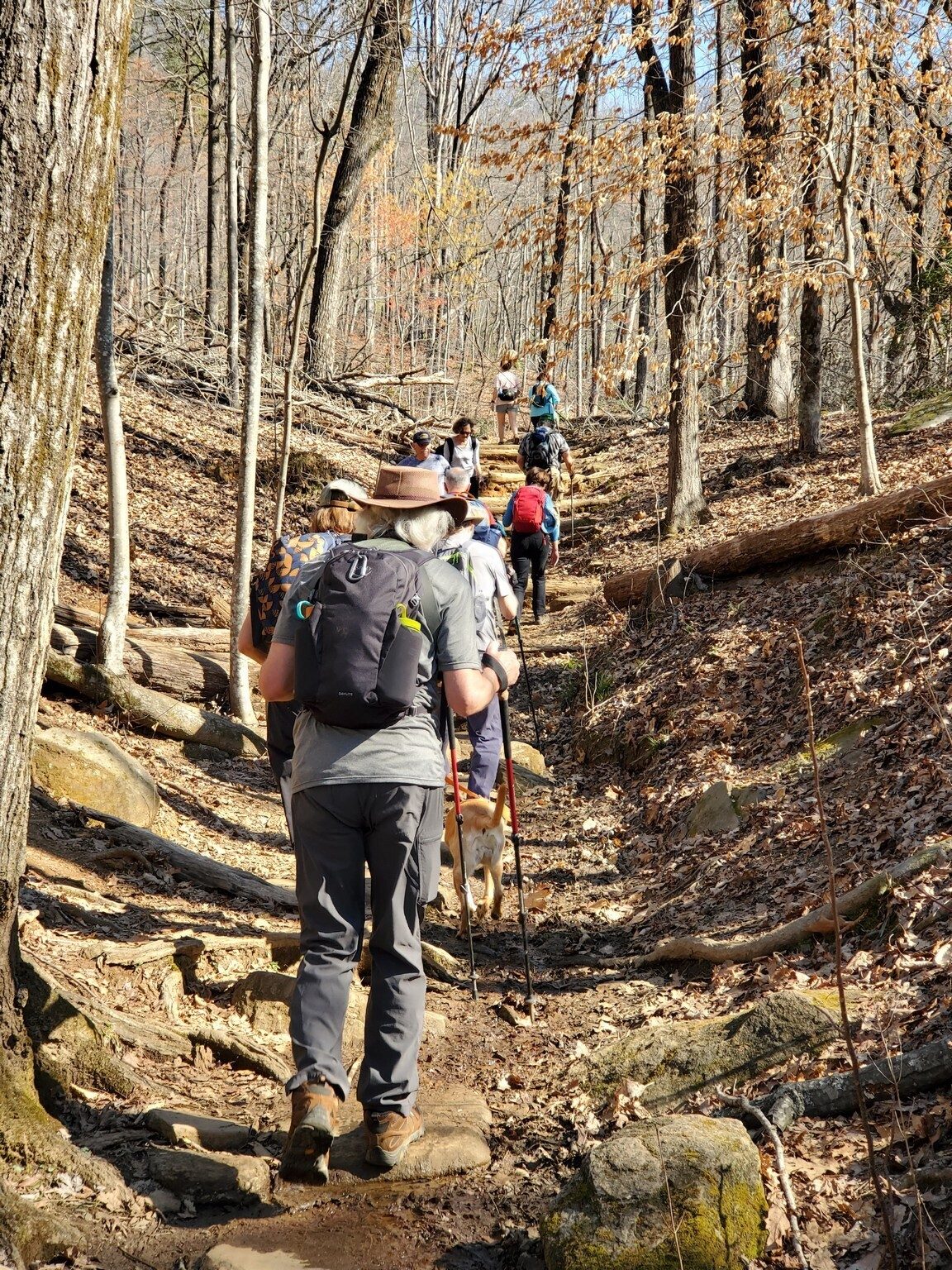 More of the trail further up the way.