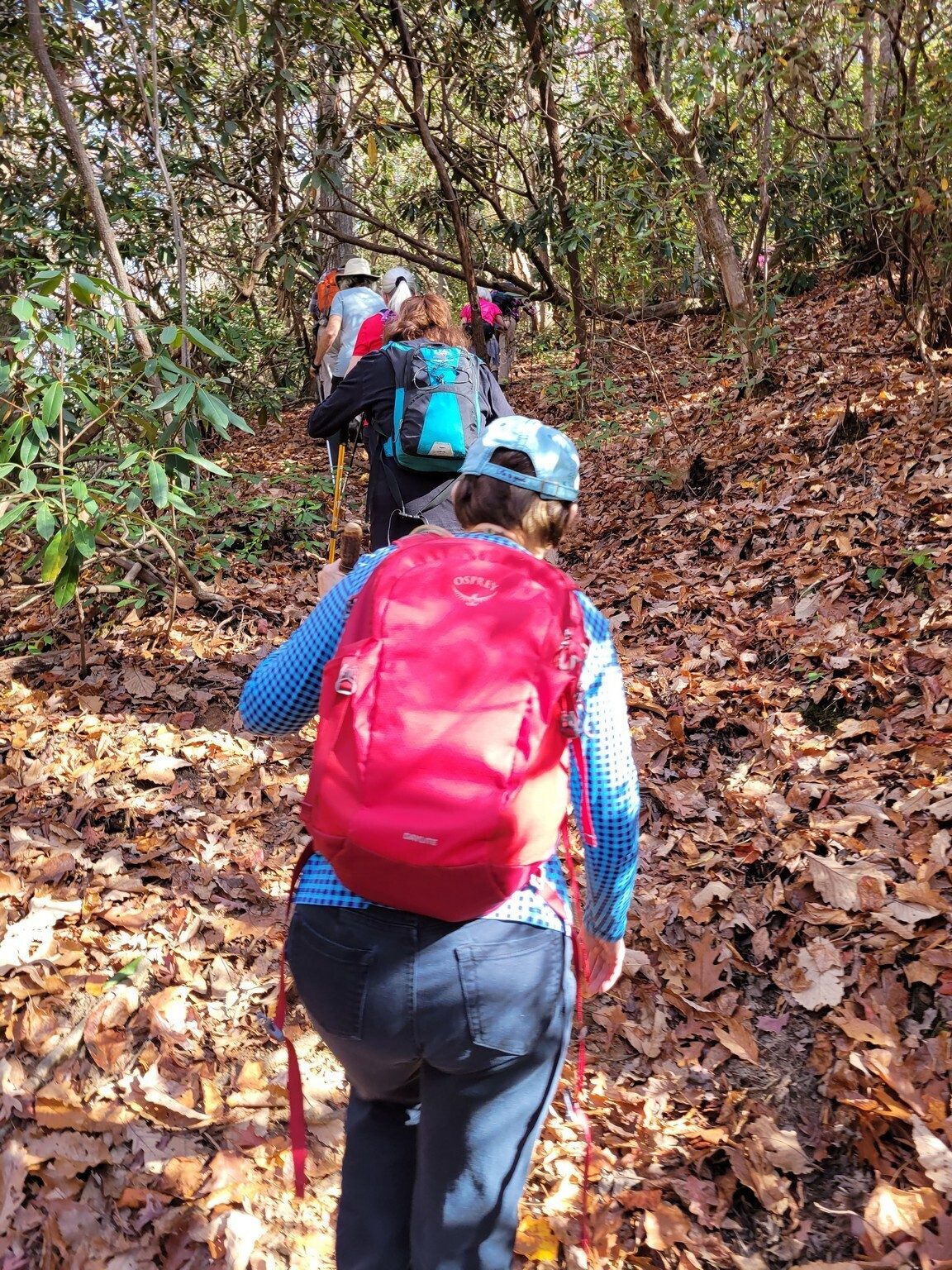 Getting started on the second hike along the Blue Ridge Railroad Historical Trail.