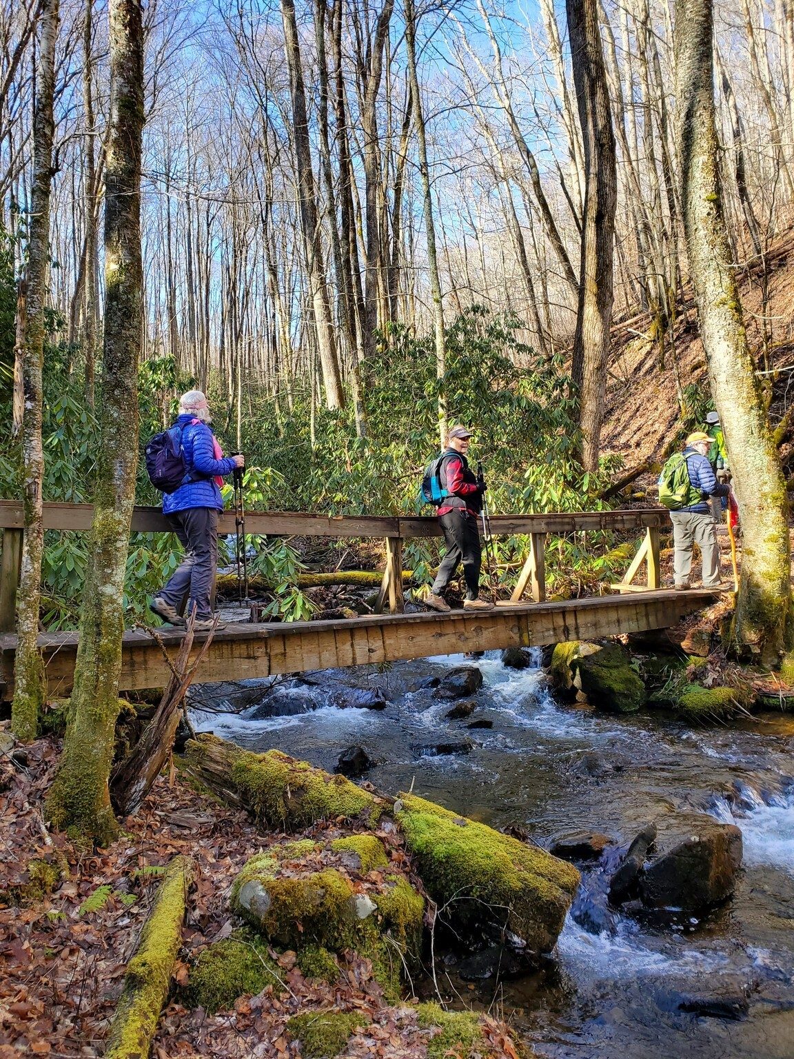 A nice bridge to cross the Nantahala River where Park Creek runs into it.