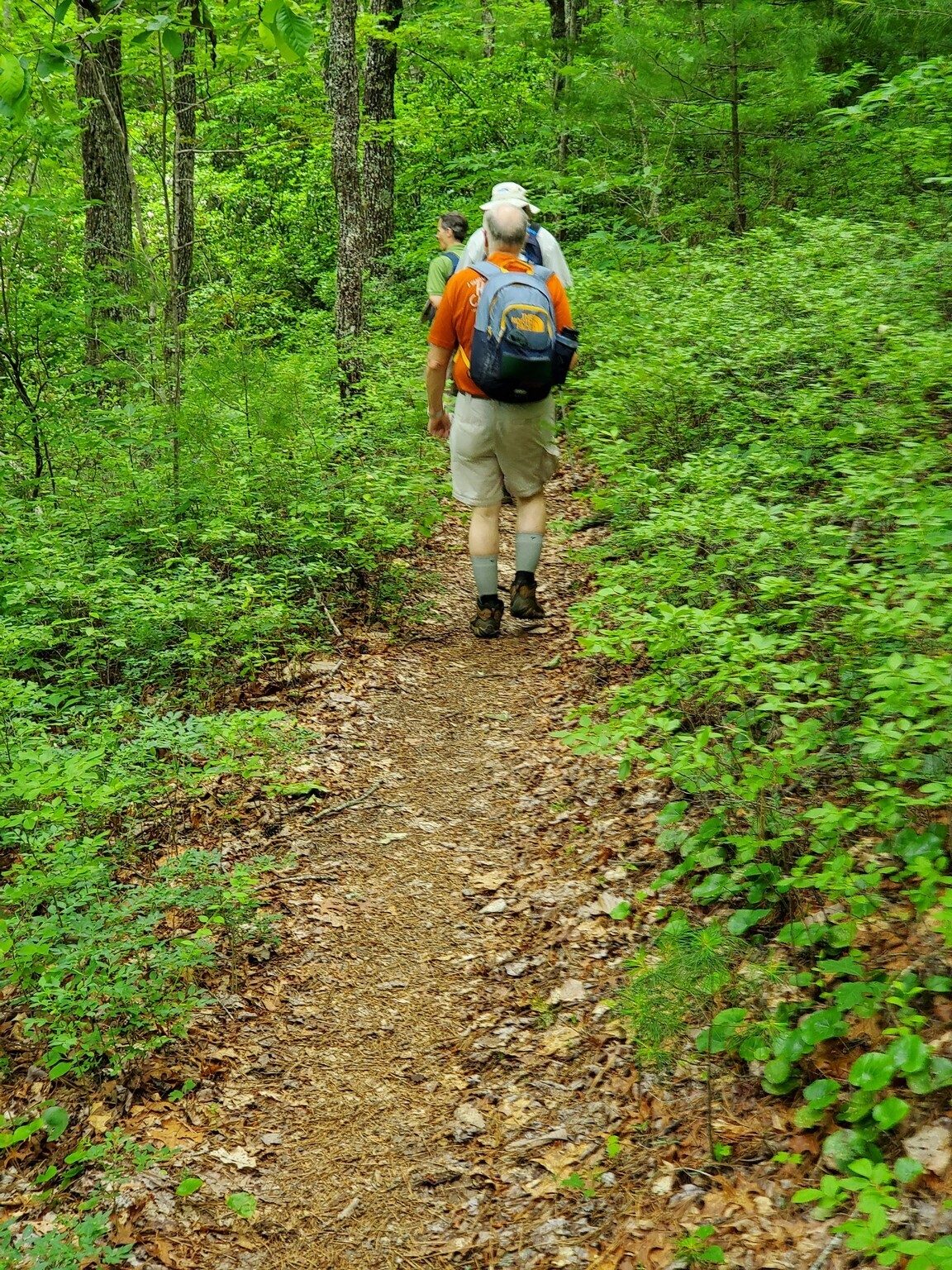 A very nice trail!