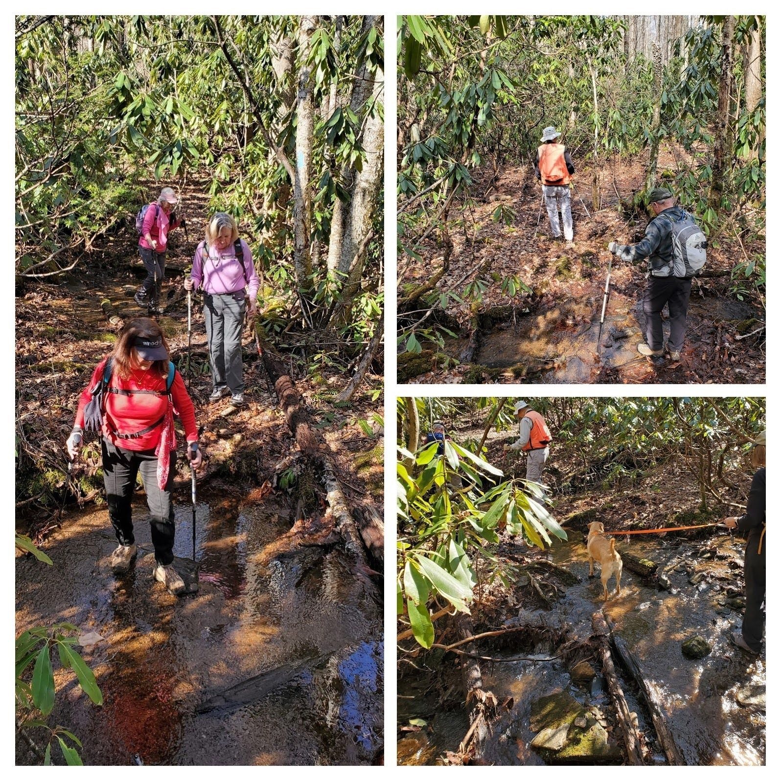 Lots of shallow water crossings along this trail.