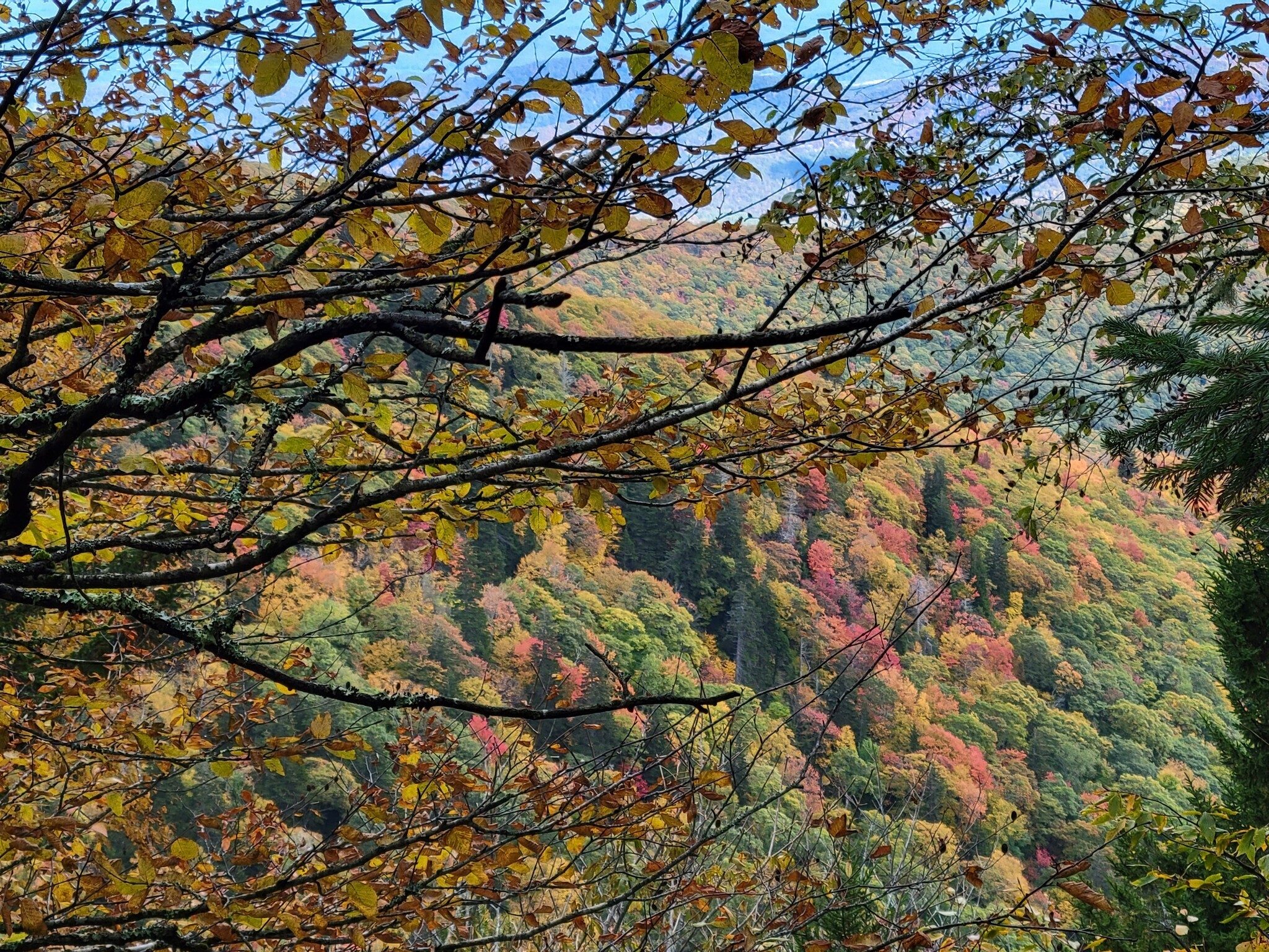 One last view through the trees to the east on our way back to the trailhead.