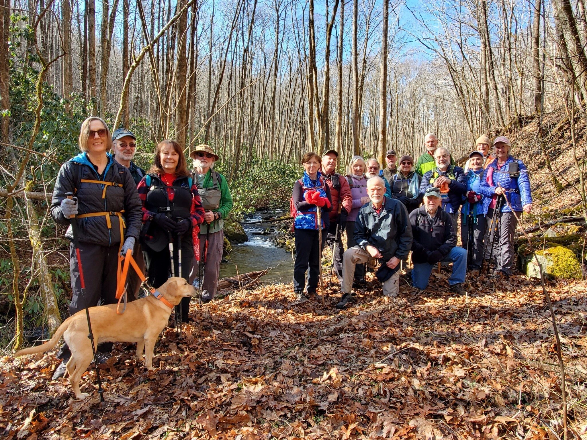 Today's Hikers (L-R)-Left: Jane, Ray, Renee, Mitch & Squirt; Right Back: Jenny, John, Angela, Jack, Ken, Stephanie, Dave, Gary, Terre, Dick & Lynn; Right Front: Mike & Vic