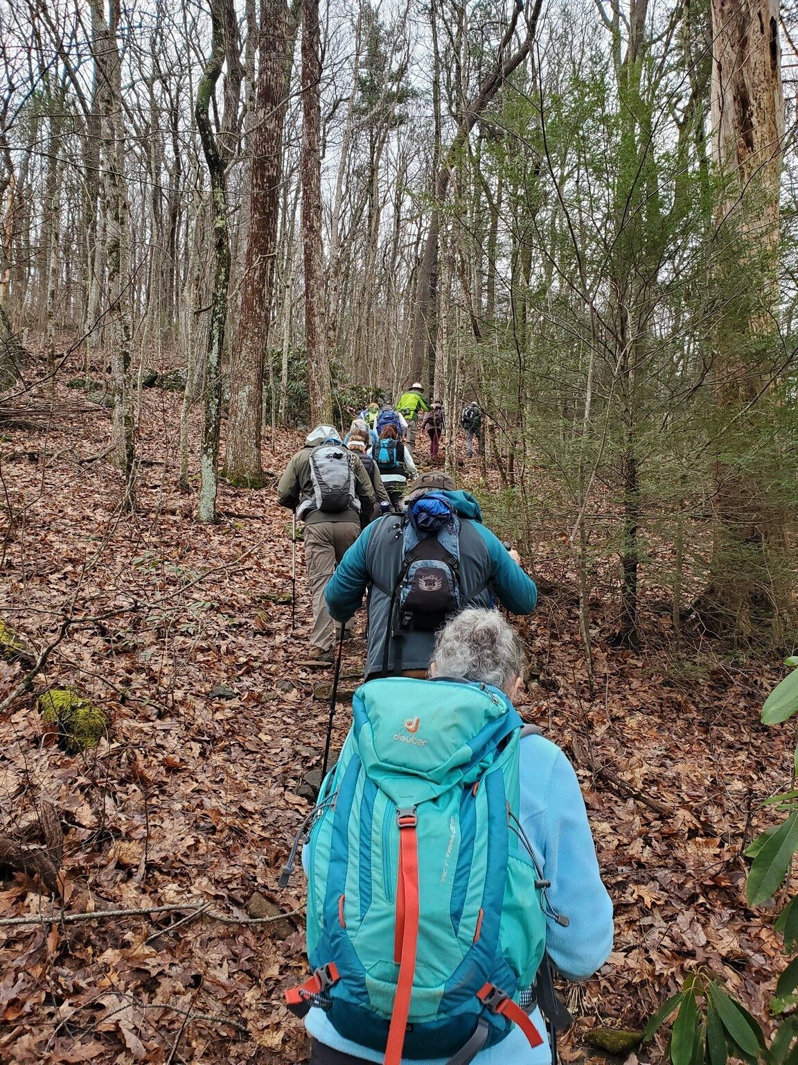 It's a fairly steep climb for the first mile of the hike.