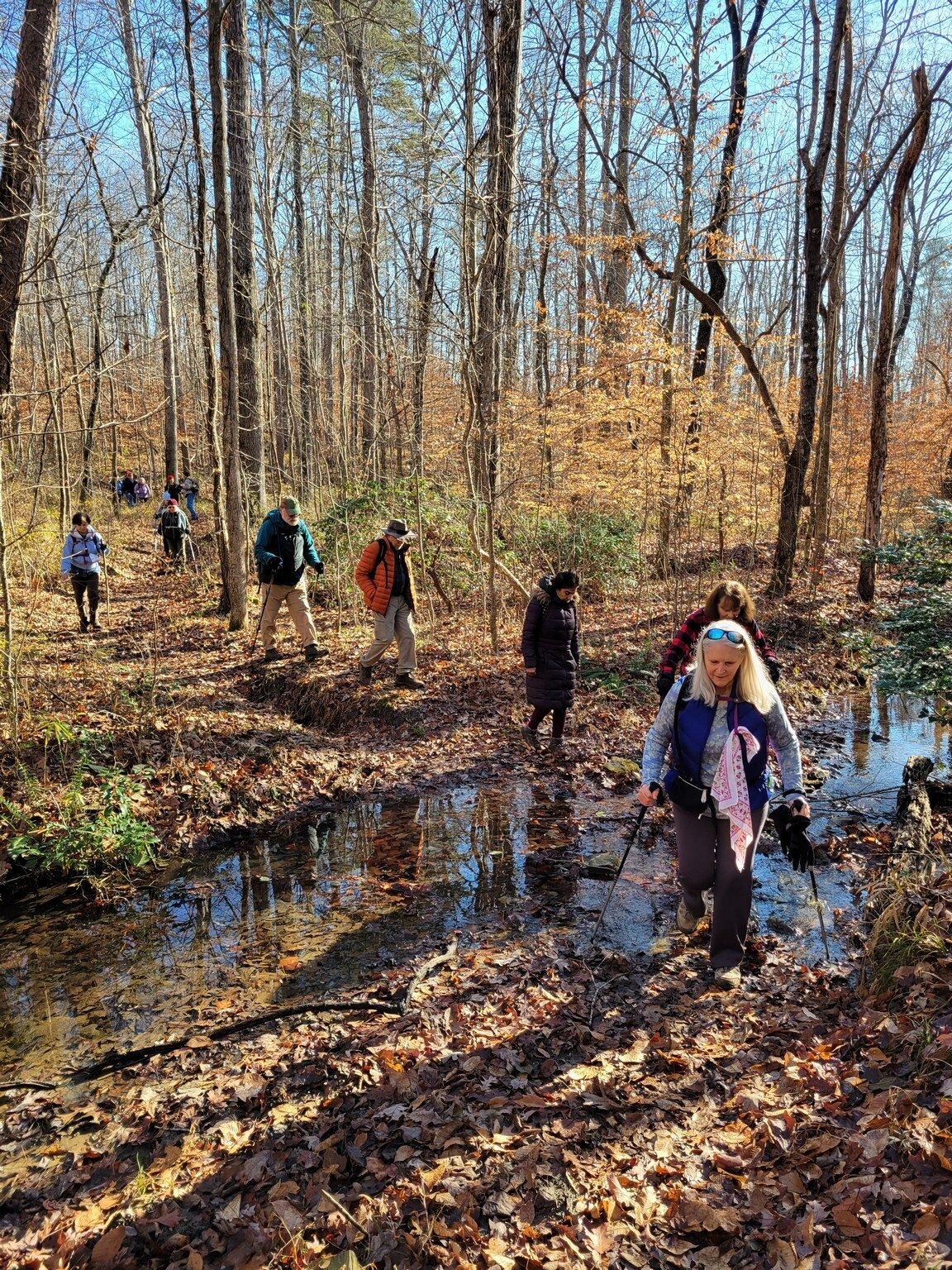 One of a few shallow wet crossings across a tributary to Frady Branch.