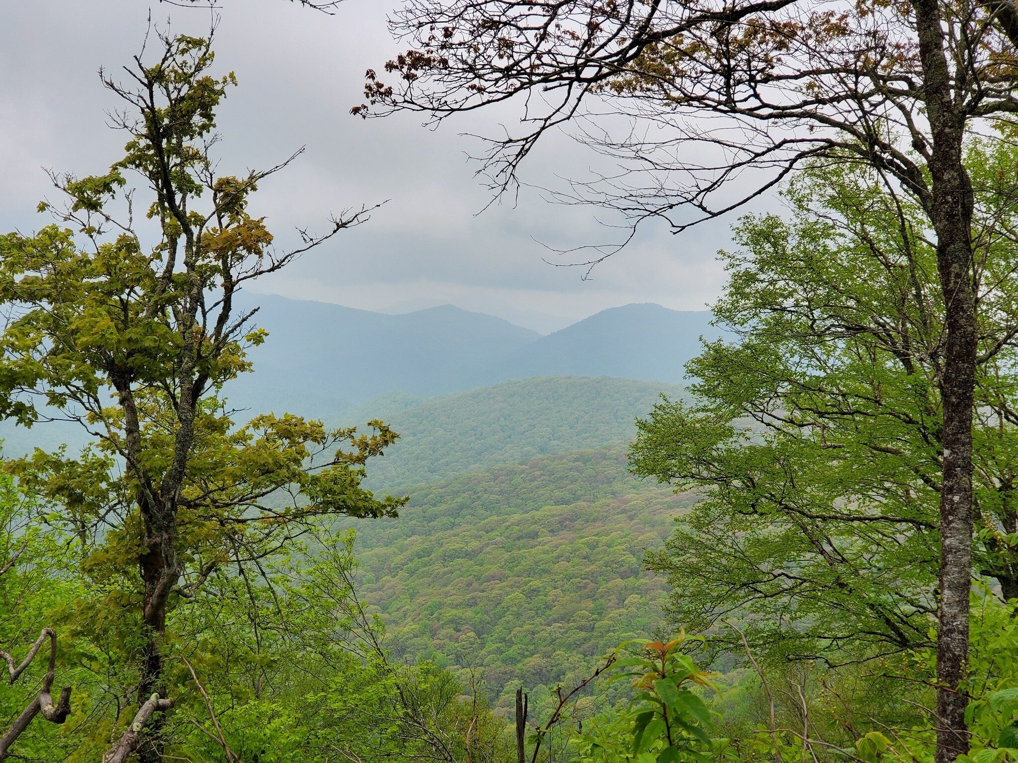 First glimpses of the mountains as we approached the summit of Standing Indian.
