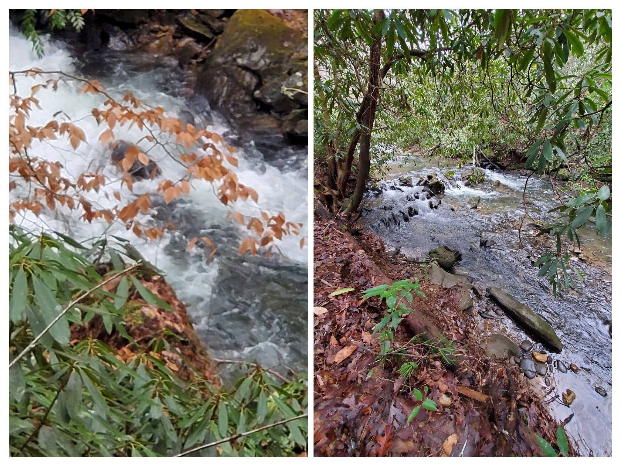 Other views of Smith Creek.