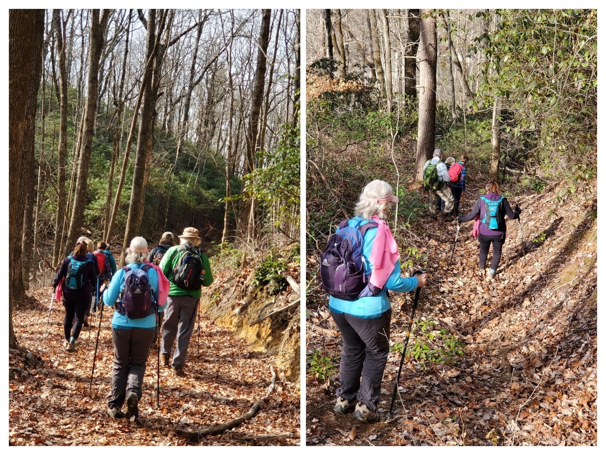 Trail to Windy Falls.  Left:Wide but very rocky roadbed.  Right, final approach on a mostly washed out and steep trail.