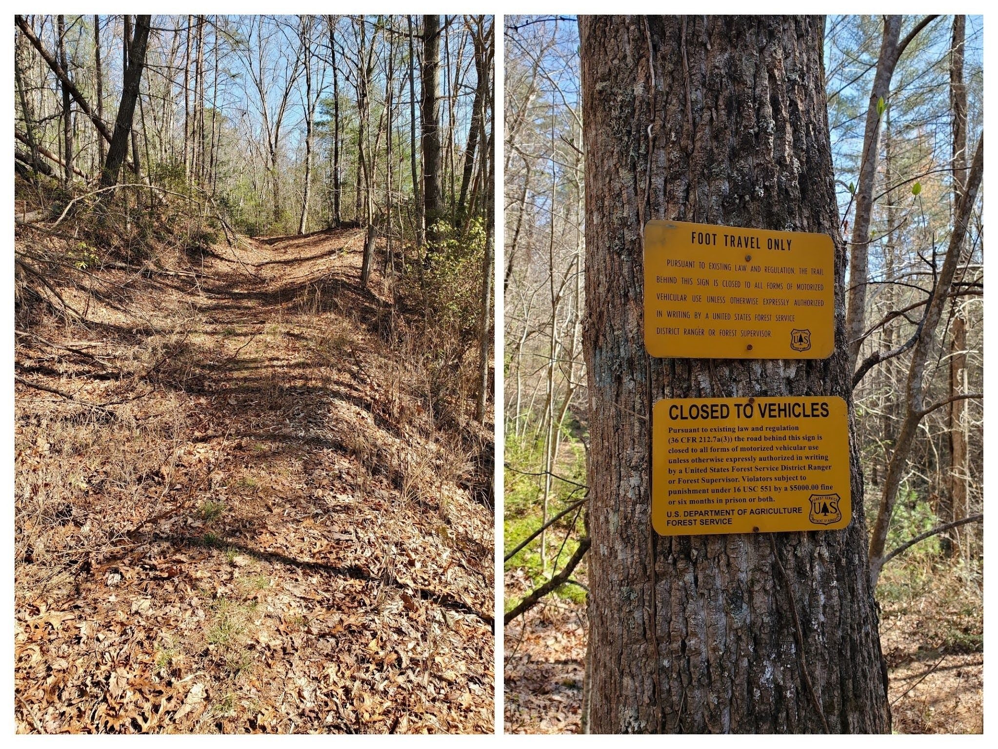 The trail, FS 376A, is restricted to foot traffic and is fairly easy on the feet.