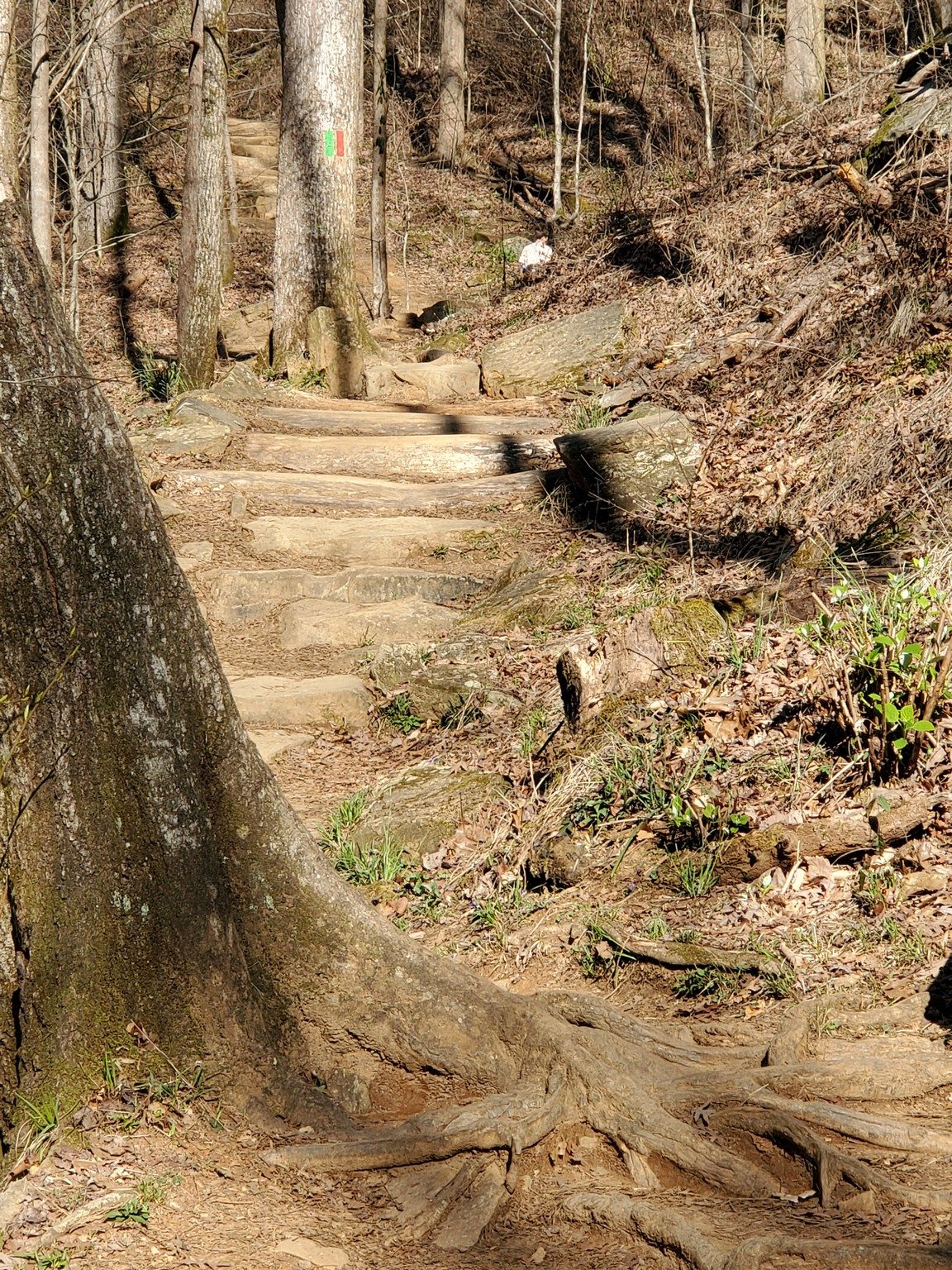 Typical trail at the front end of the hike.