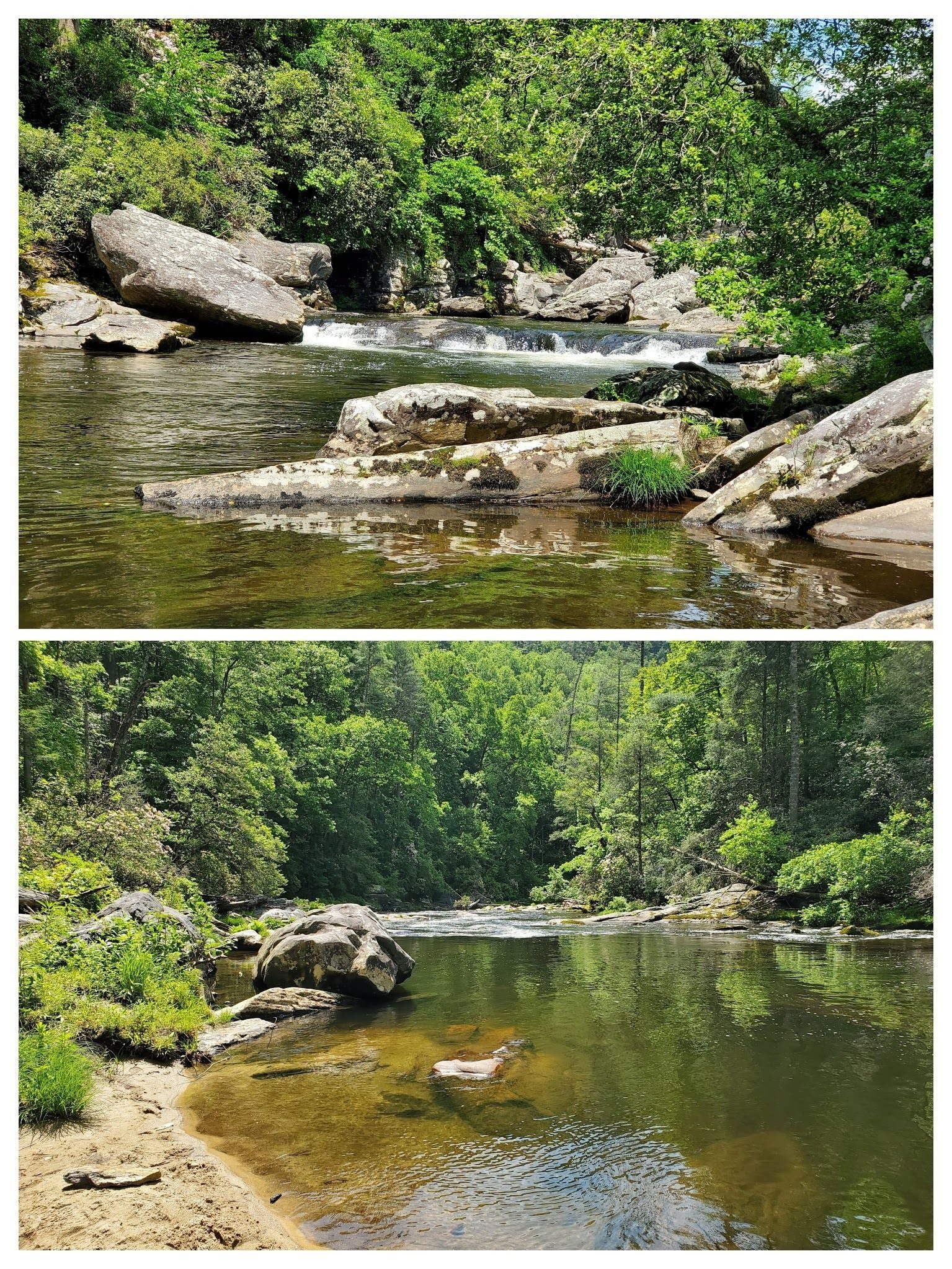 Views of the Chattooga River from one of two lunch spots.
