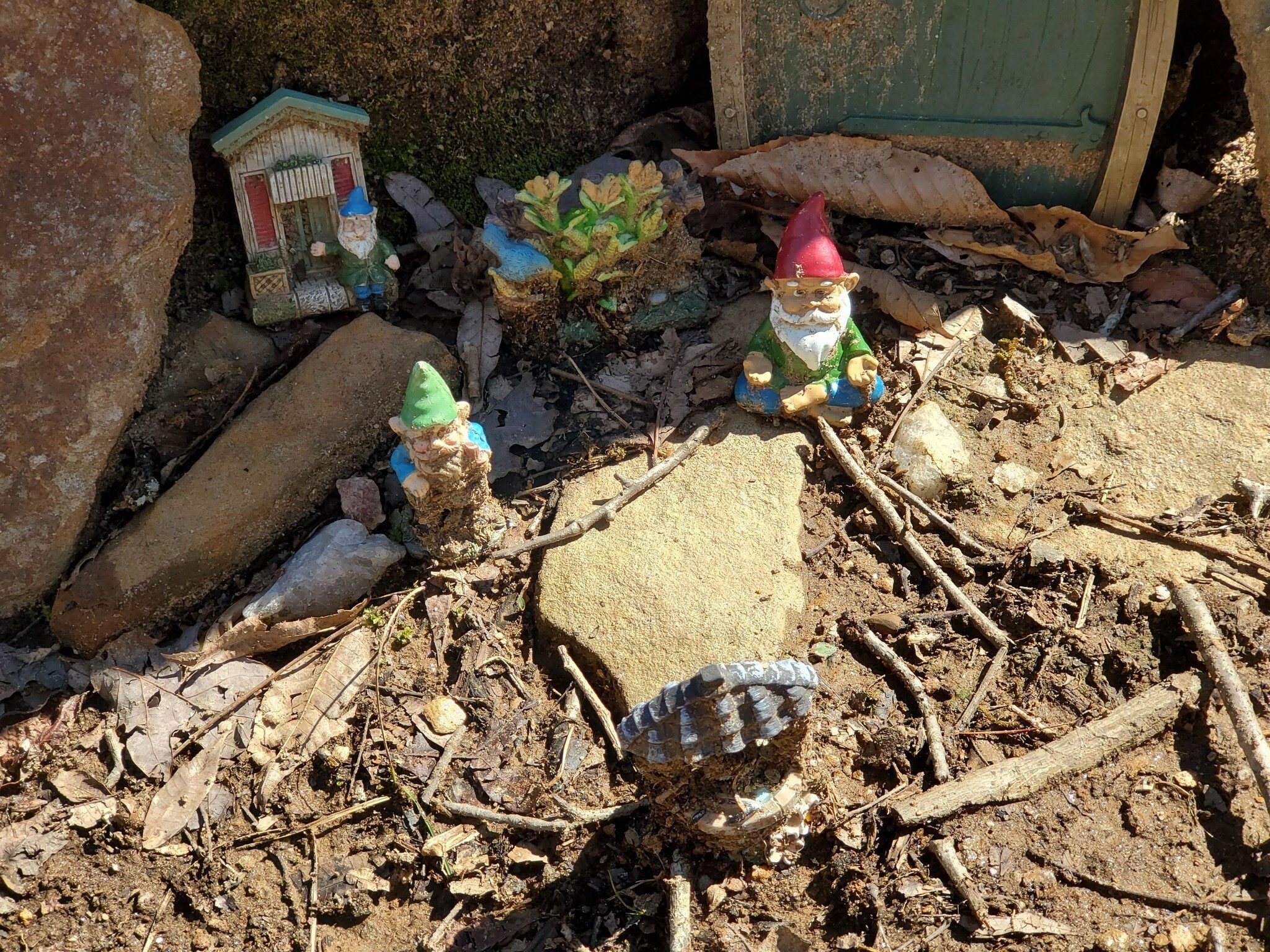 Have you ever wondered who takes the time to set up these gnome encampments?