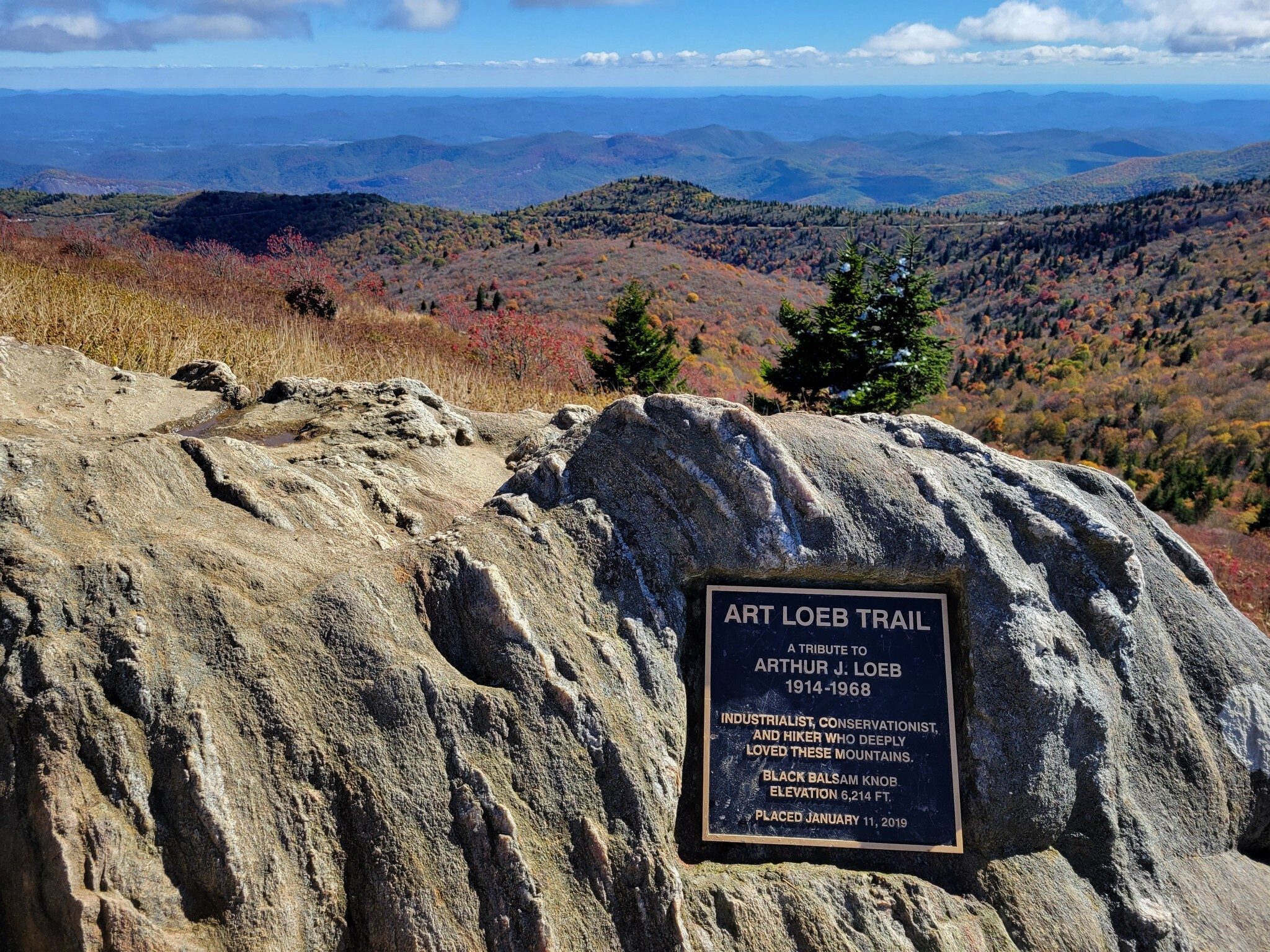 Black Balsam Knob . . . gorgeous!