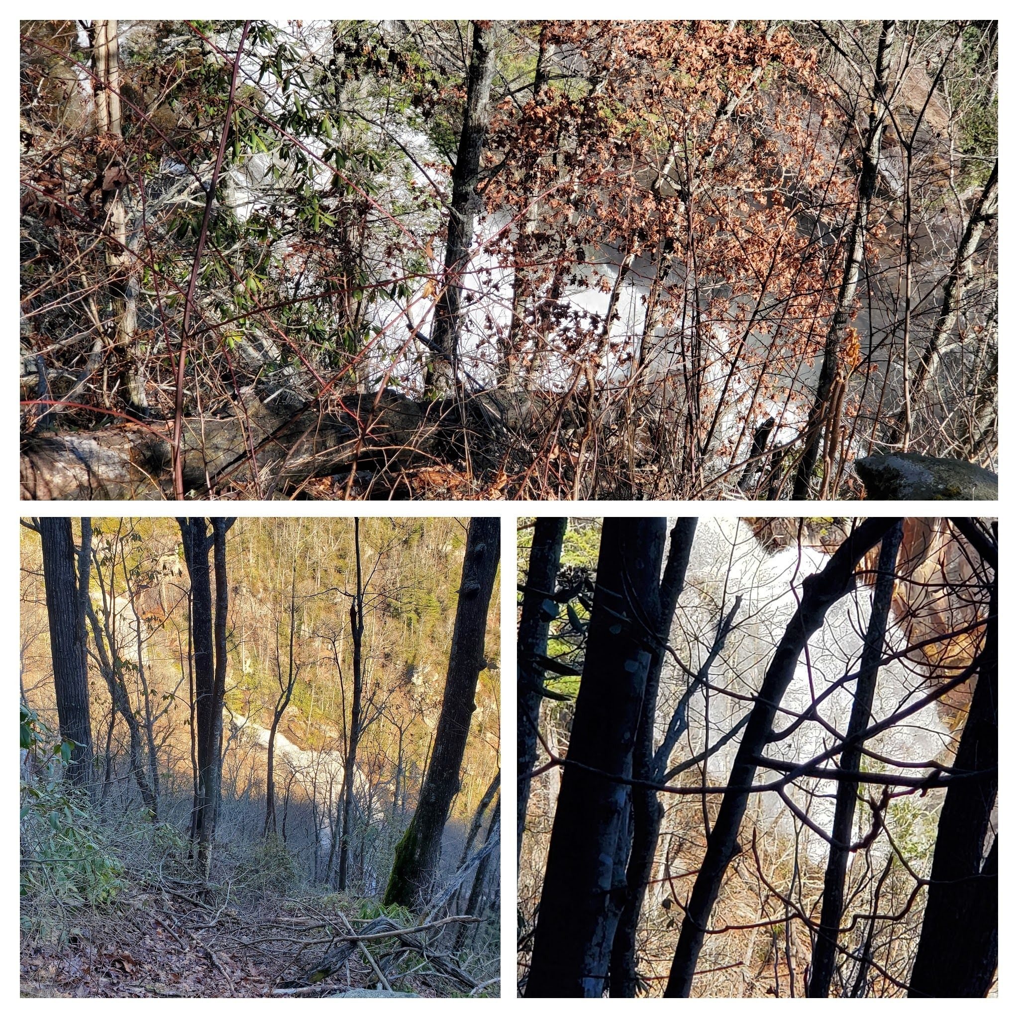 Some of the partial views of Whitewater Falls as we hiked southward  along the Whitewater River.