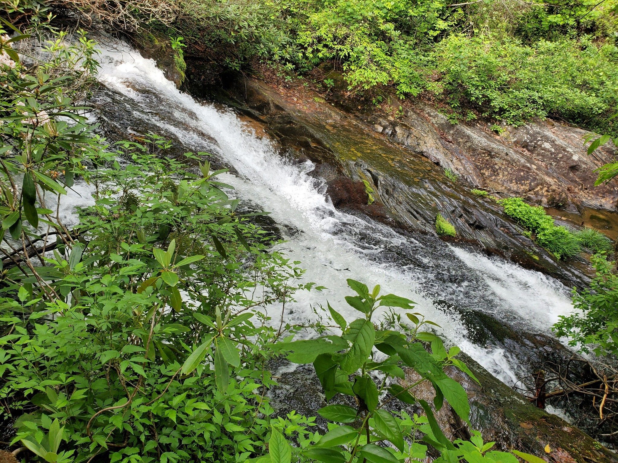 We think this view of Licklog Falls from the east side of the creek is better than that from the normal western view.