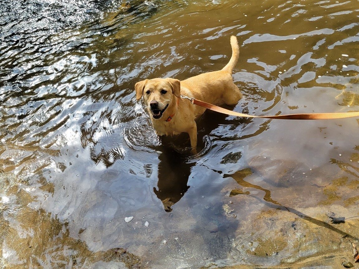 Squirt says, "Come on in.  The water is great!"