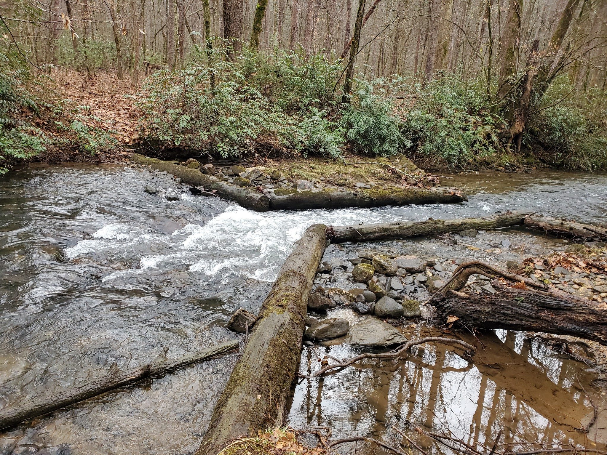Any idea of the purpose of this constructed sluice on Smith Creek?  Stocking point for trout perhaps.