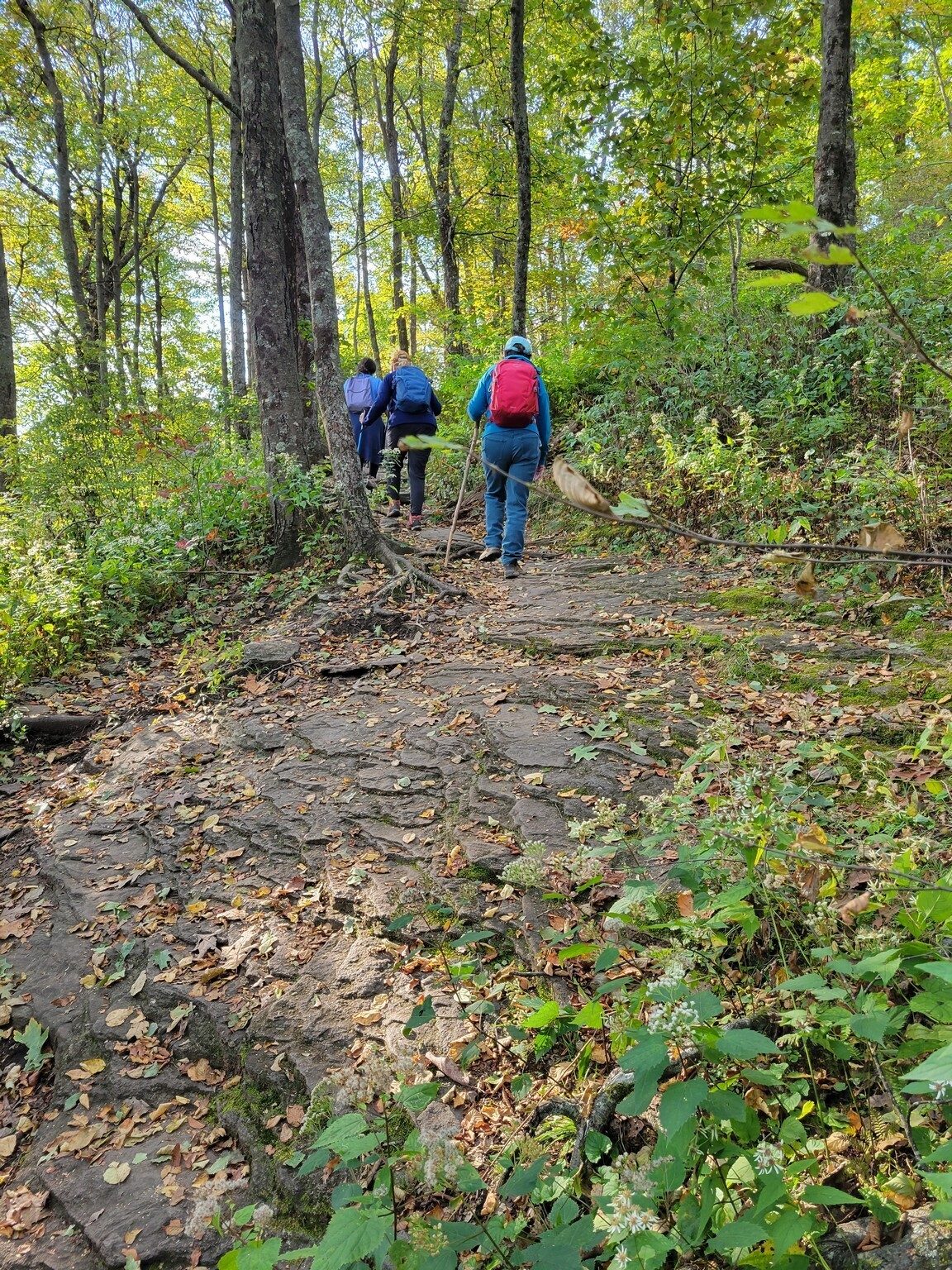 Still climbing!  Lots or rocks on this section of the trail.