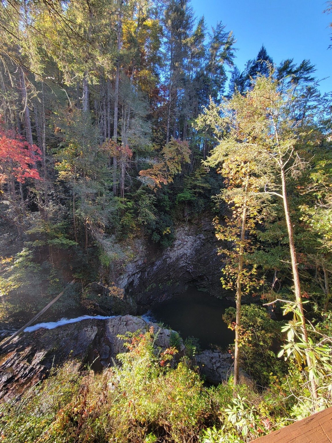 Some of the fall colors beginning to show above Brasstown Falls.