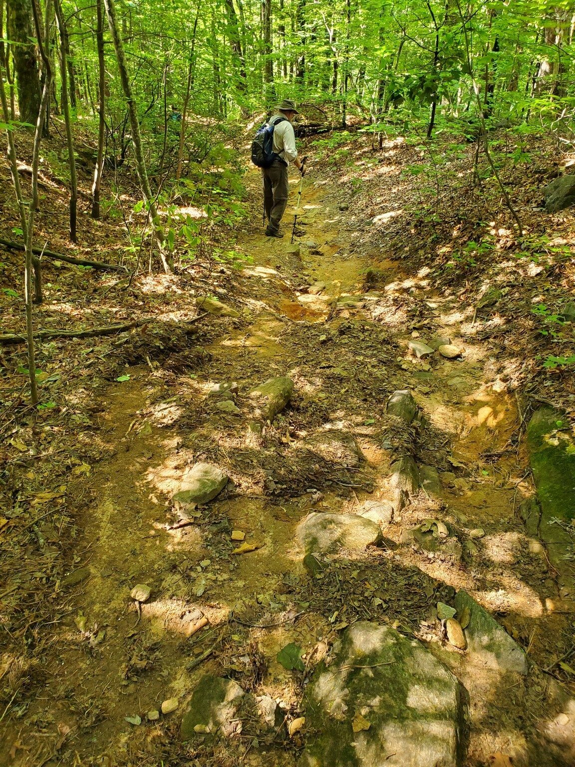 Unfortunately, the John Garton Trail is quite washed out along most of its path.