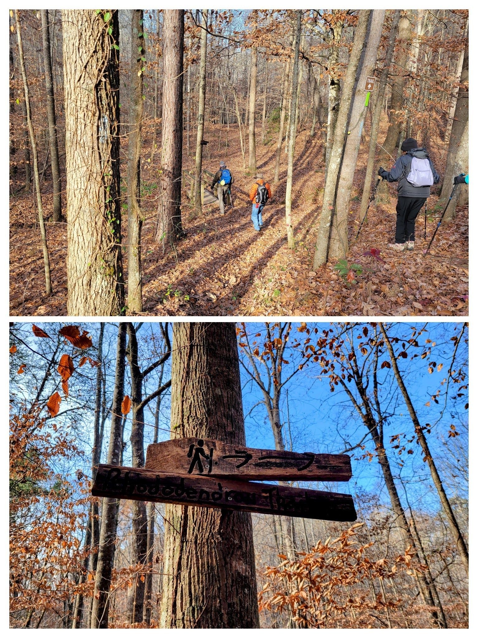The trail was nicely marked and in good condtion.