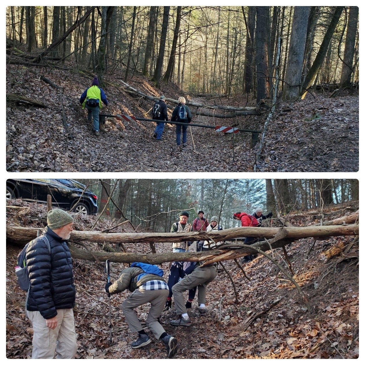 The trailhead gate and first blowdown . . . more to come.