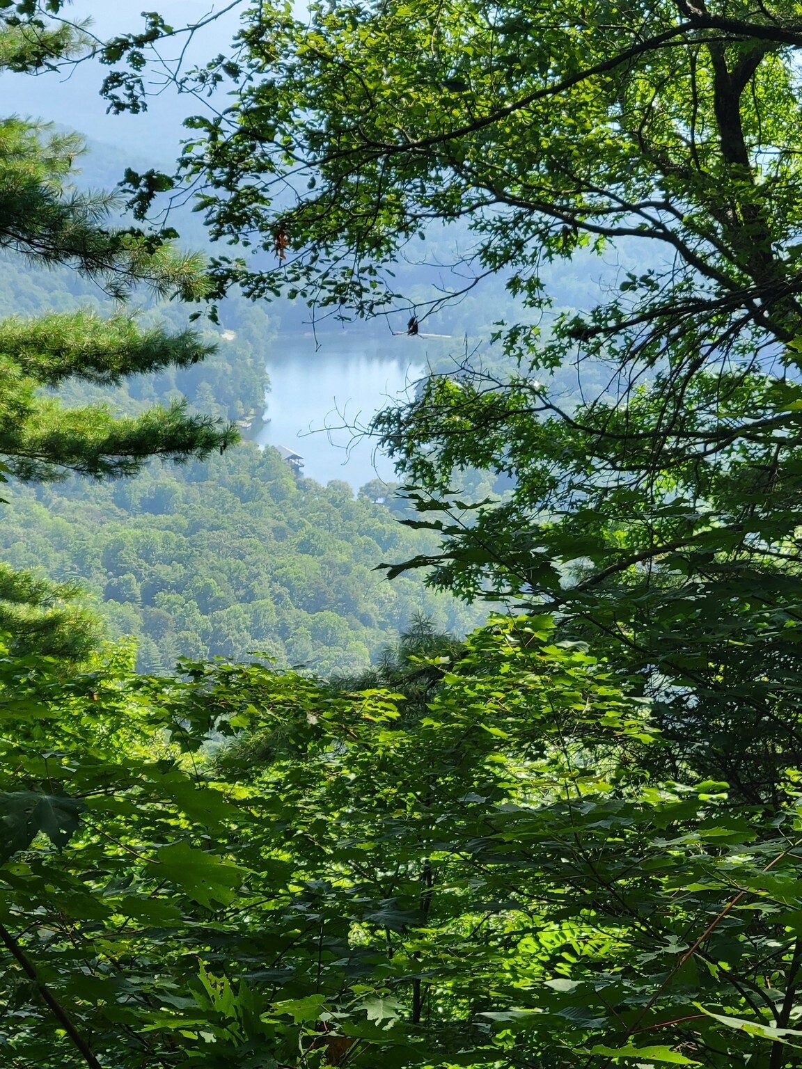 A hazy view of Lake Trahlyta from the Vogel Overlook on