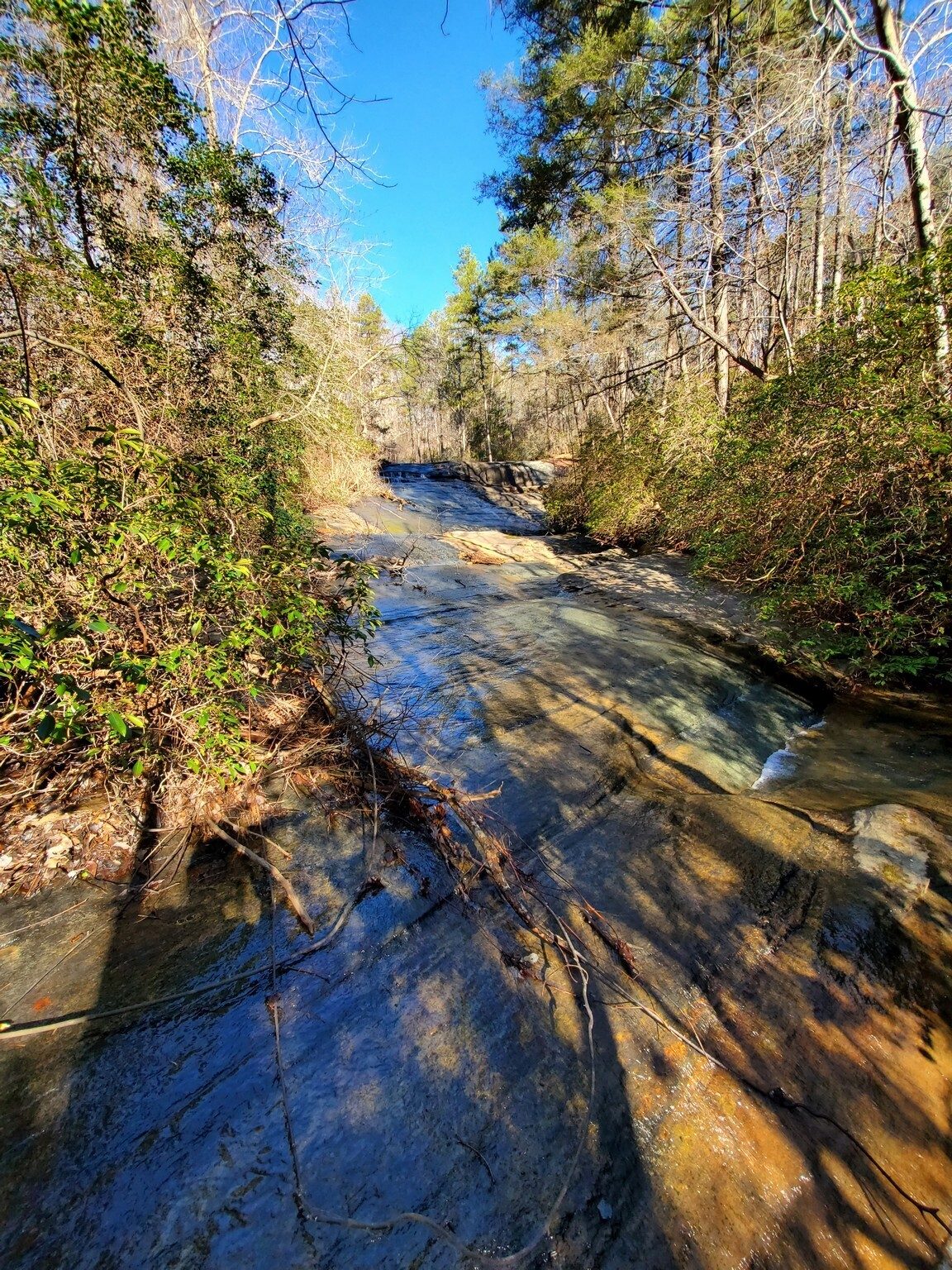 Renee found a trail providing access to below Mary Steele Falls for look up at the falls.