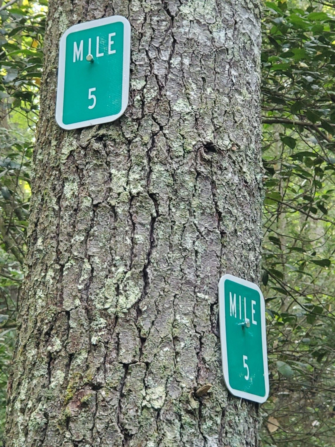Trail markings installed help locate lost or injured hikers on this trail.