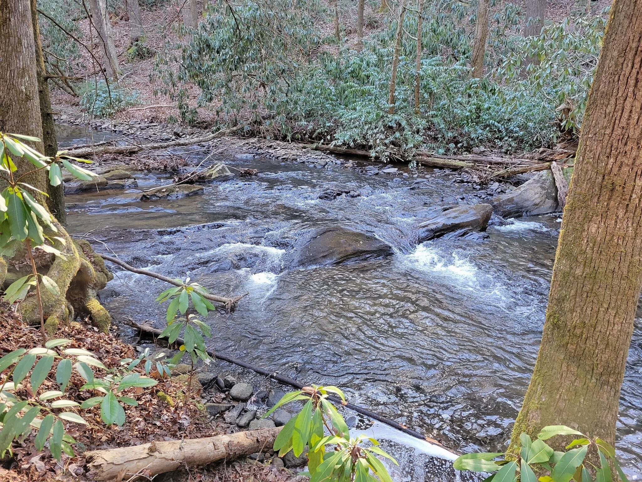 And a final view of Smith Creek.