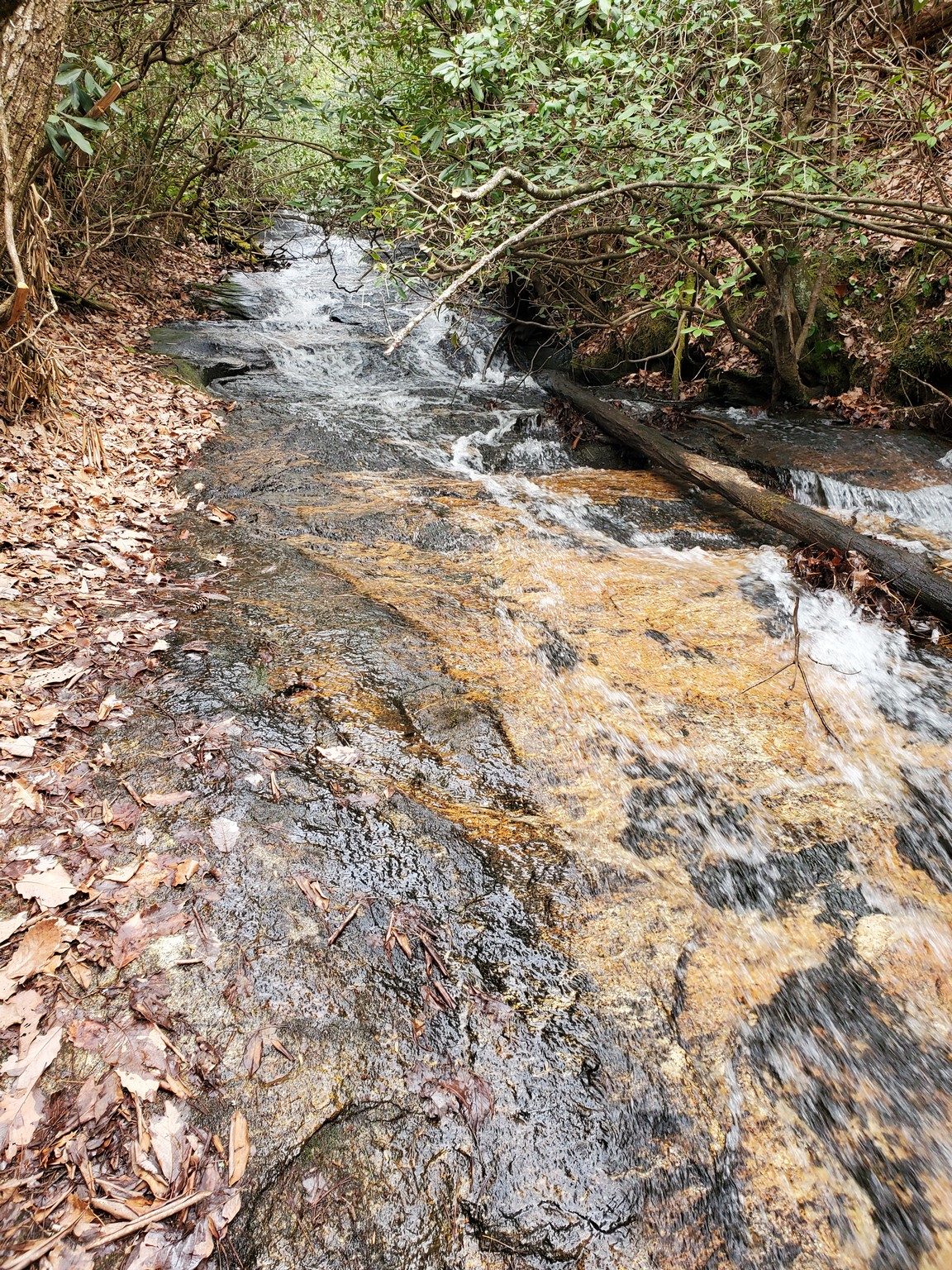Lower Miuka Falls took a bit of scrambling down a steep side path to view.