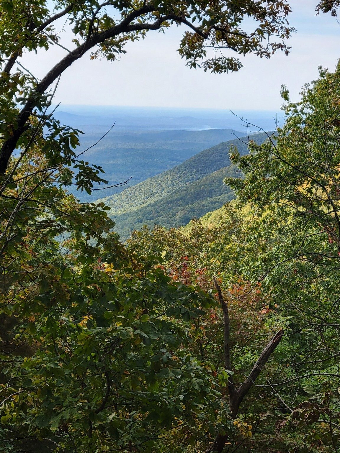 A first view of the valley east of Cowrock Mtn.