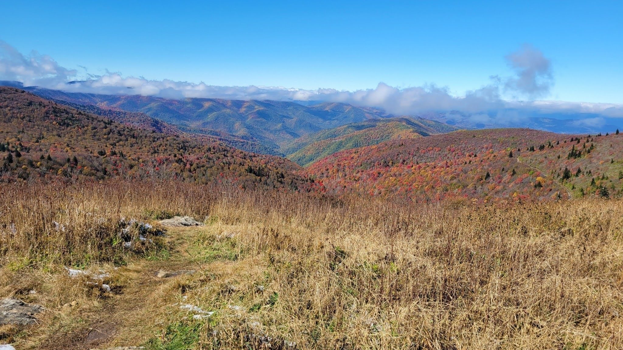 Still not on Black Balsam Knob, but what a view!