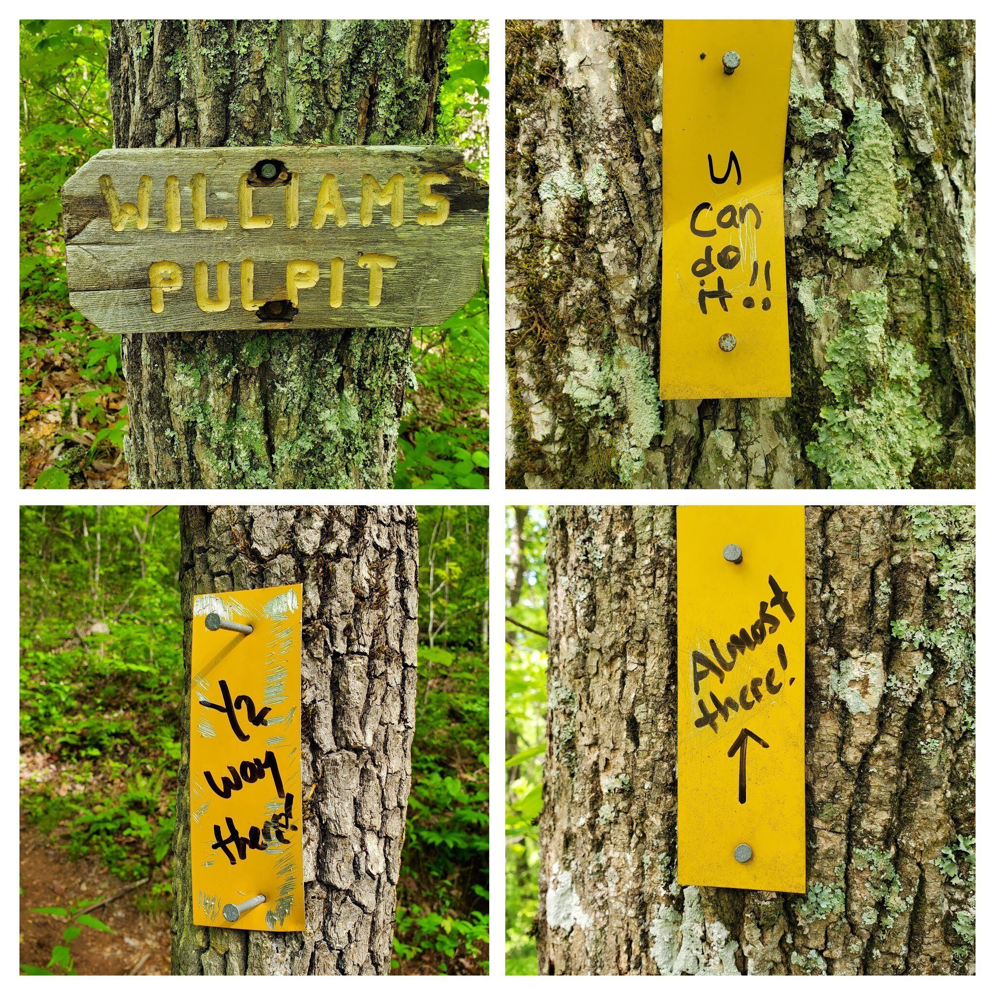 Encouragement on our long climb up to William's Pulpit!