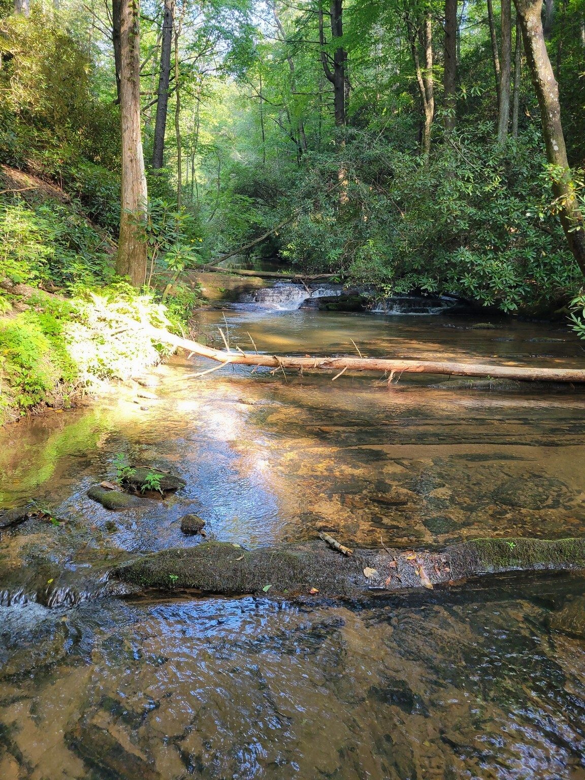 A small cascade on Turner Creek . . . NOT Yonah Preserve Falls which we did not see!