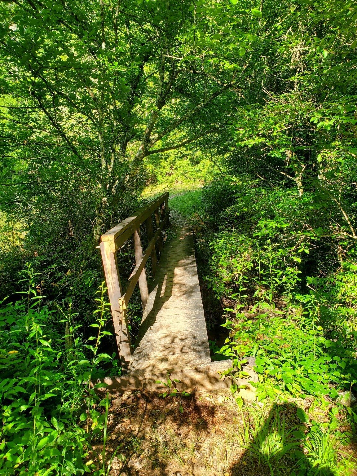This bridge is a bit wonky, not the photographer!